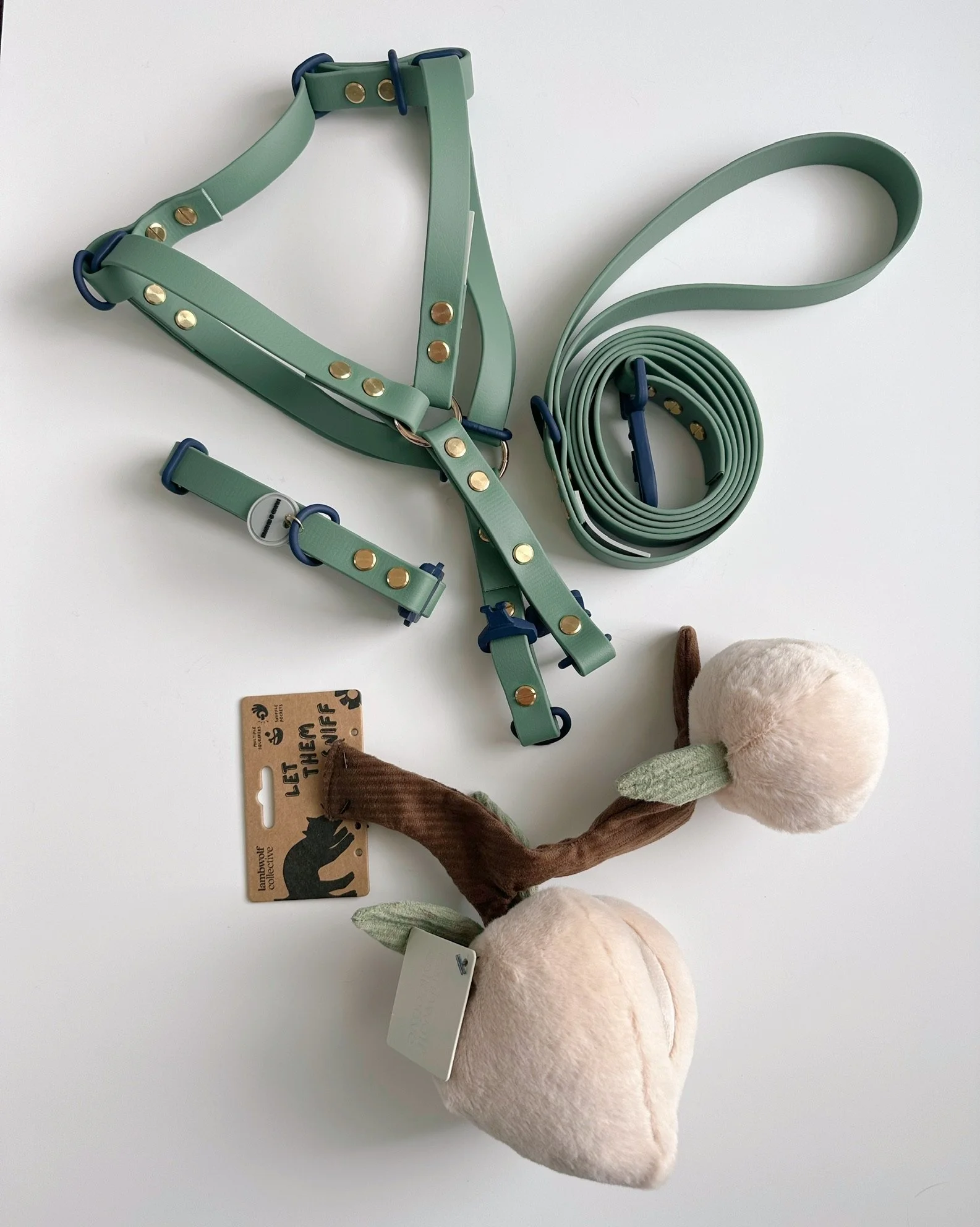 Green biothane dog harness with matching leash and toy