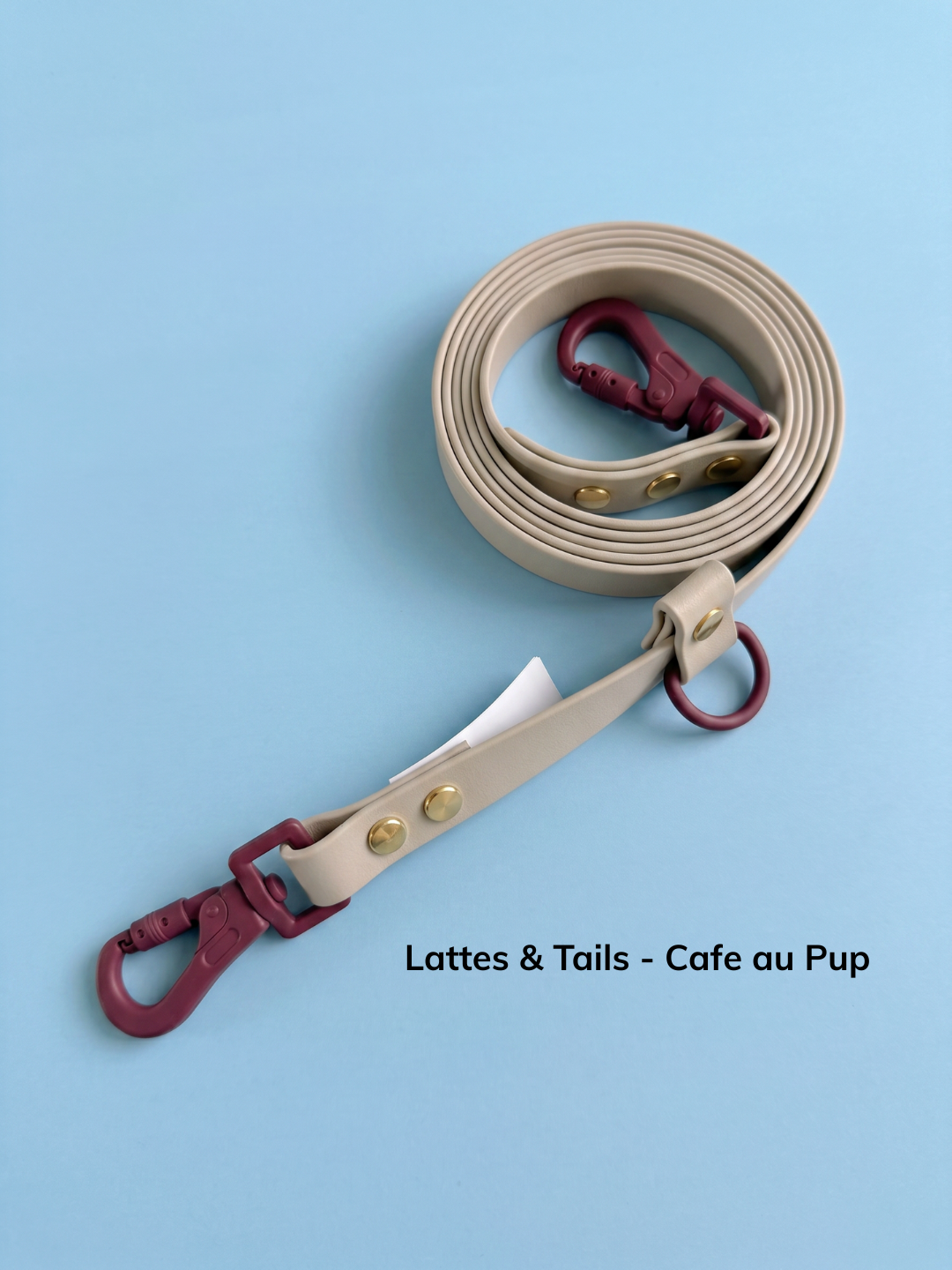 Hund Trails - Huckleberry (8).png