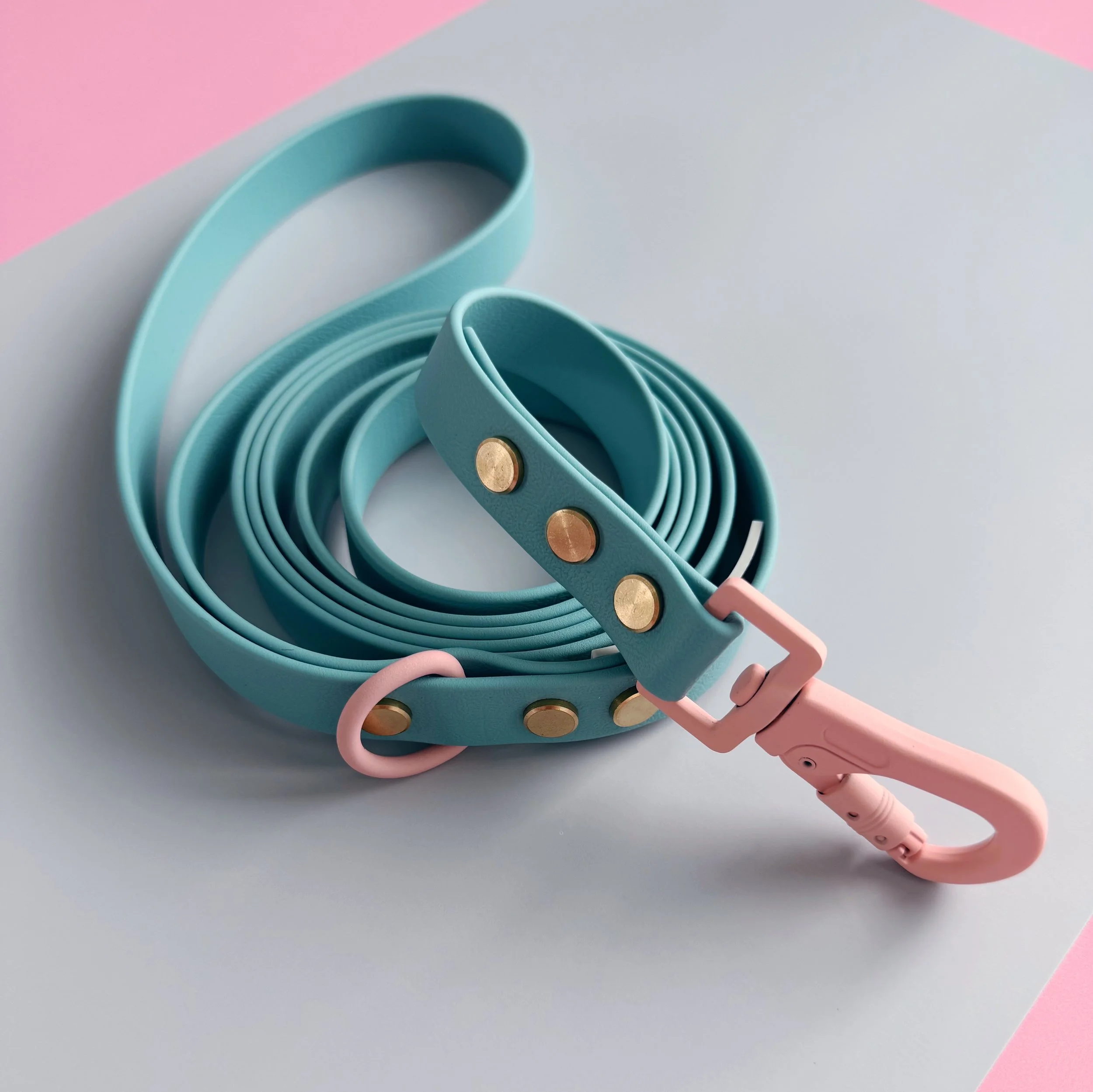 DOG LEASH - BEACH CLUB - TIDAL PAWS