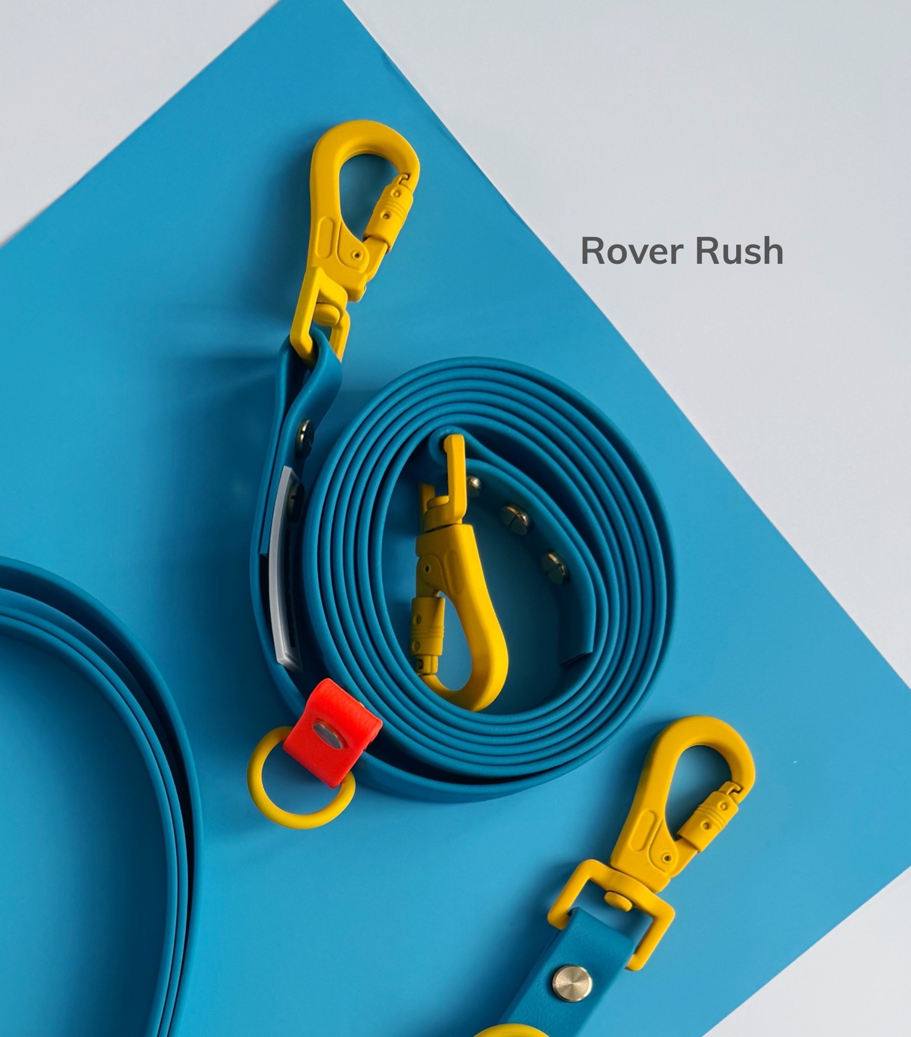 Rover Rush.png