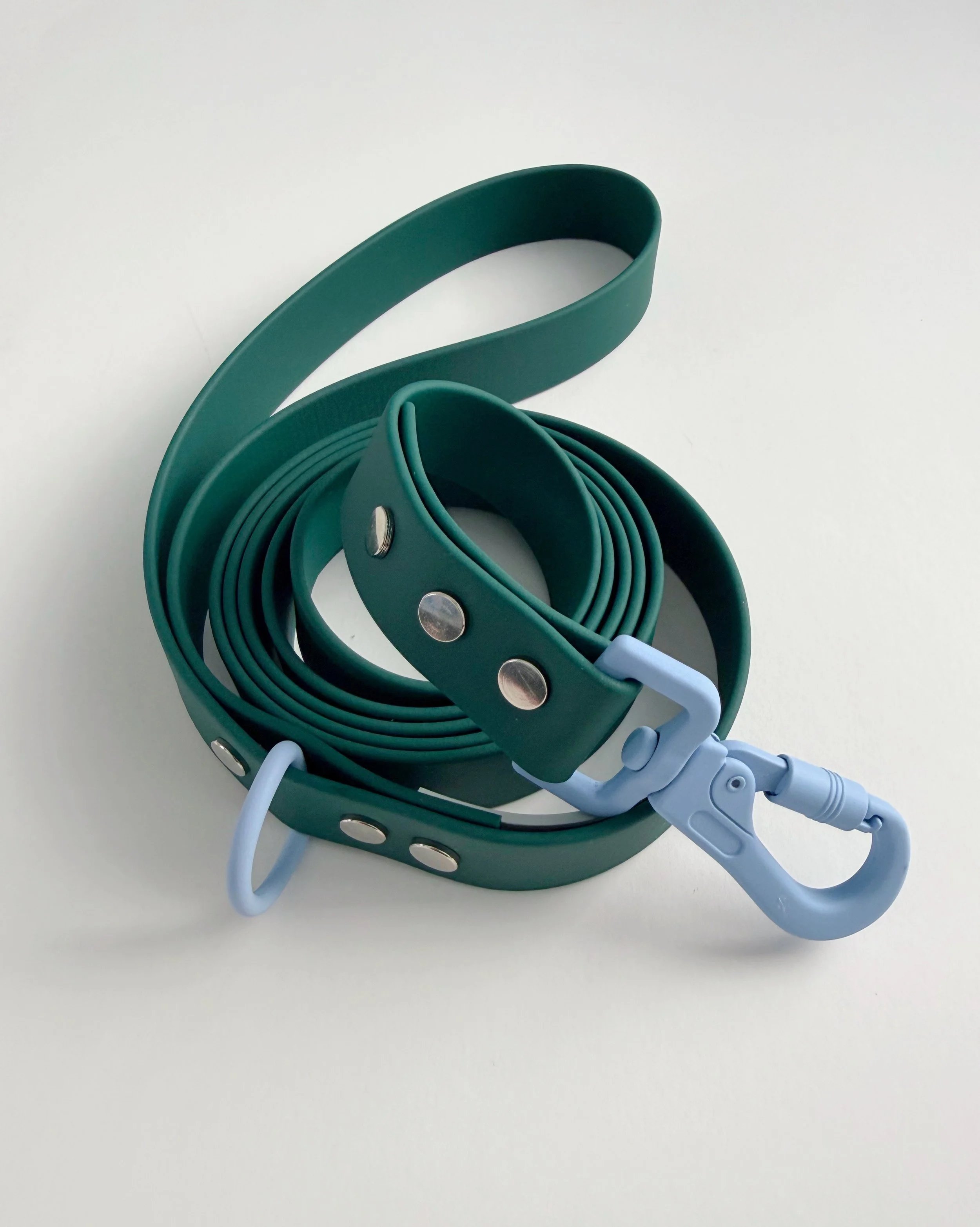 DOG LEASH - ALPINE SKI CLUB - EVERGREEN RUN