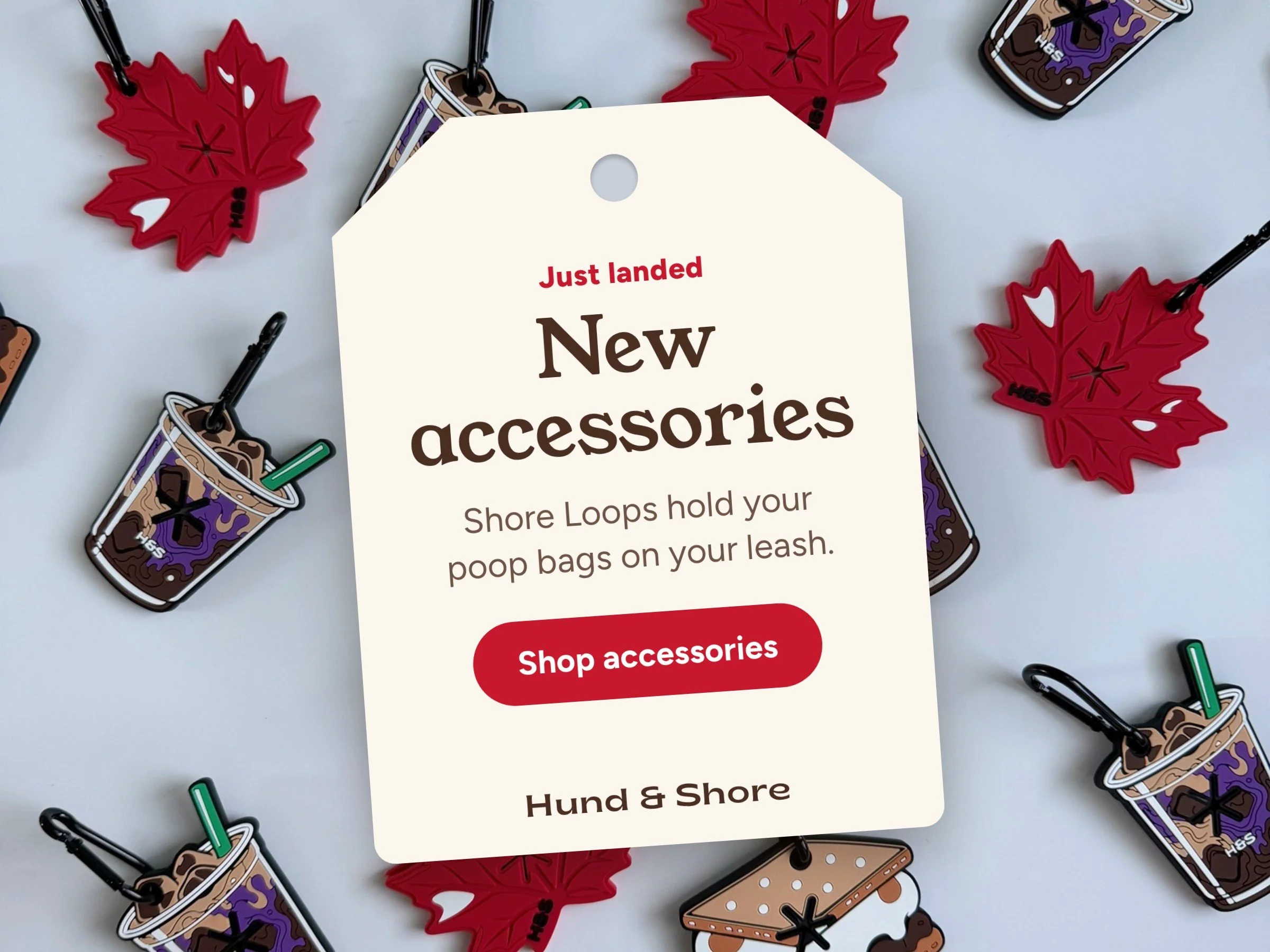 Dog Walking Accessories