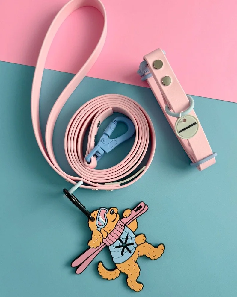 Après Pup Rosé powder pink waterproof dog collar and leash set with powder blue hardware from Alpine Ski Club collection