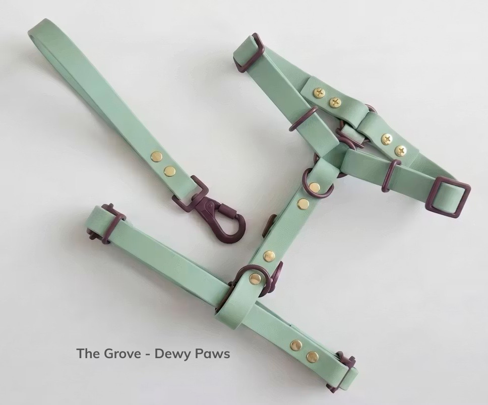 The Grove - Dewy Paws.png