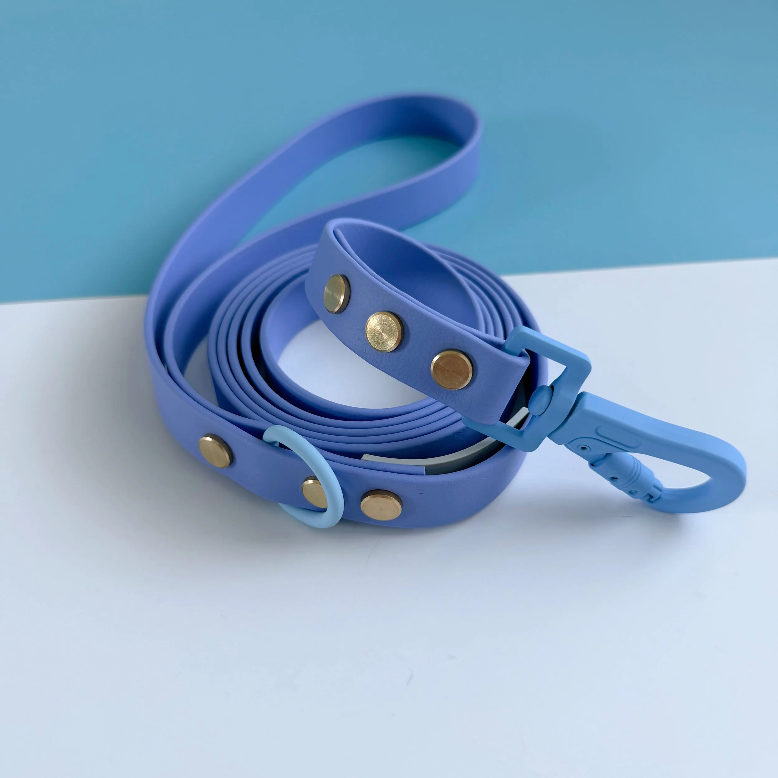 DOG LEASH - ROVER SPLASH - SPLASHBERRY