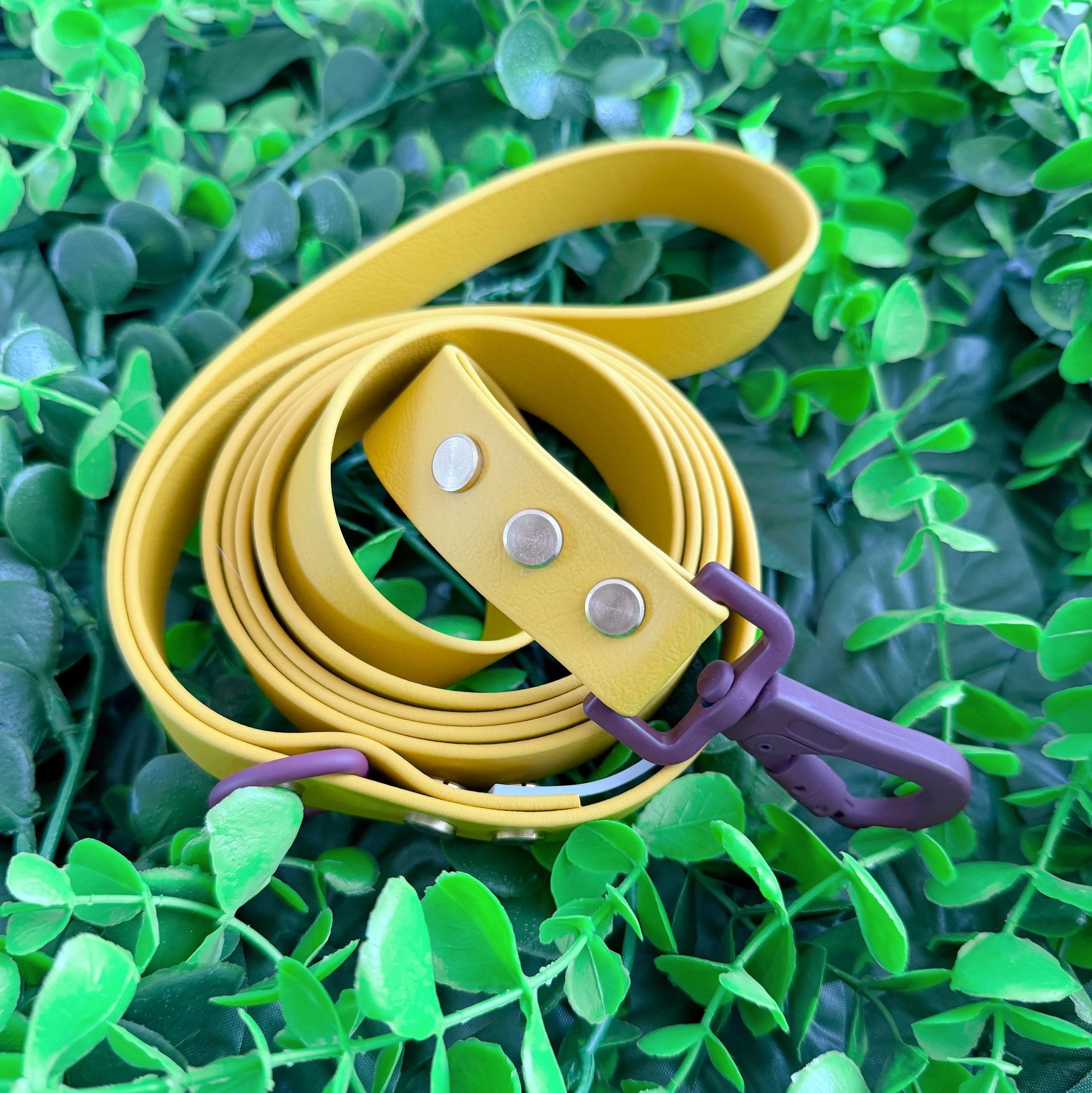 DOG LEASH - THE GROVE - SUNSPOT