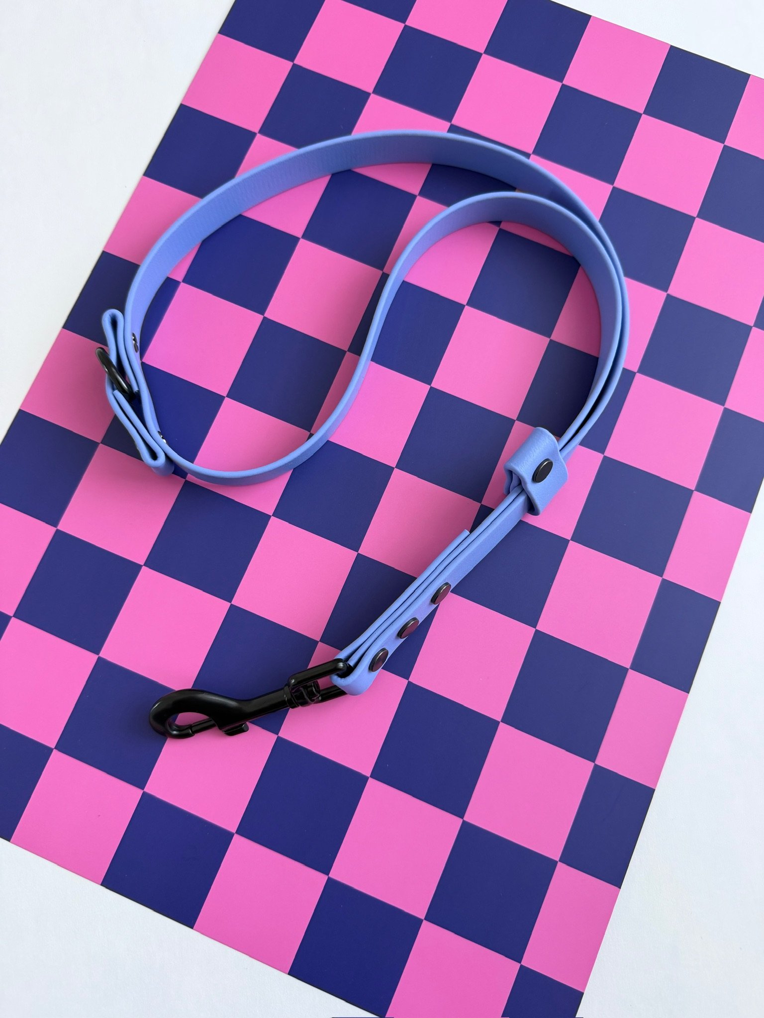 professional dog groomer grooming loop