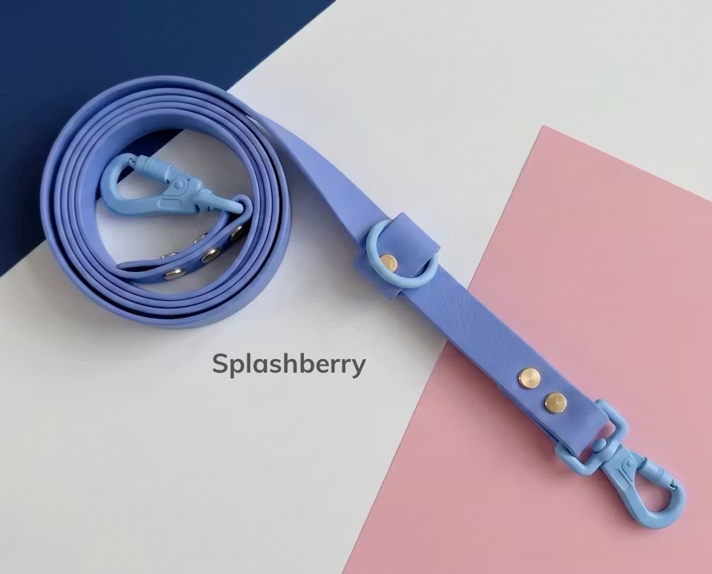 Splashberry.png