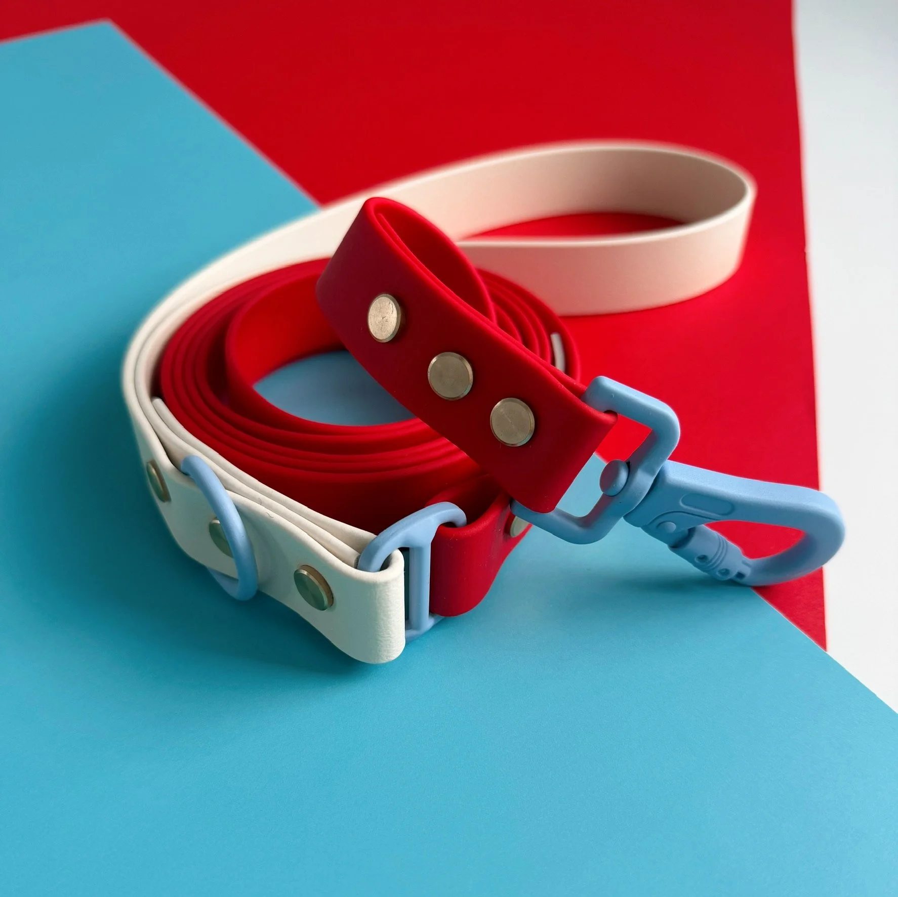 DOG LEASH - ROVER SPLASH - ROCKET POP