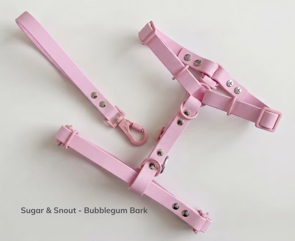 Sugar & Snout - Bubblegum Bark.png