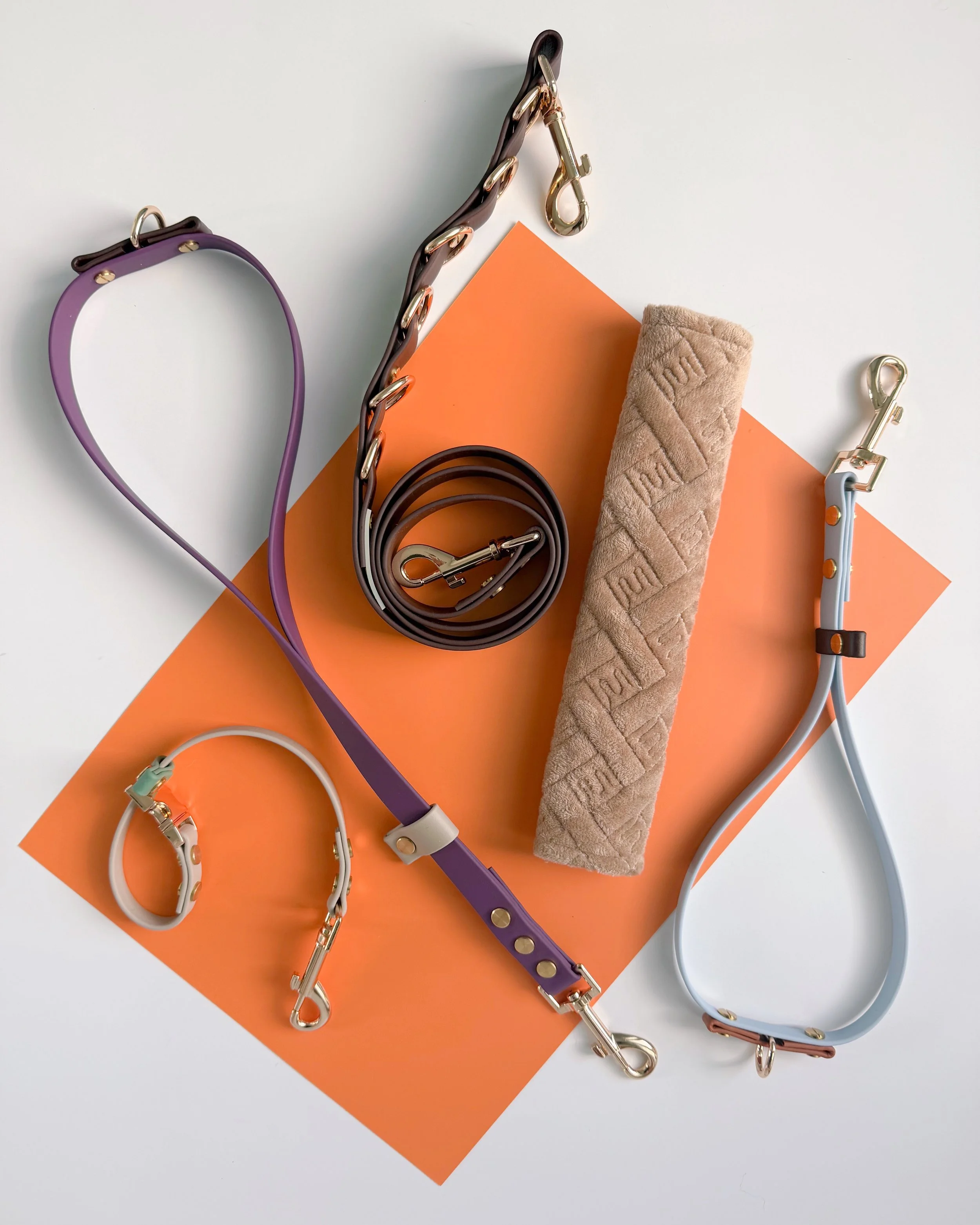 Professional Dog Grooming Kit - Lattes & Tails Bundle