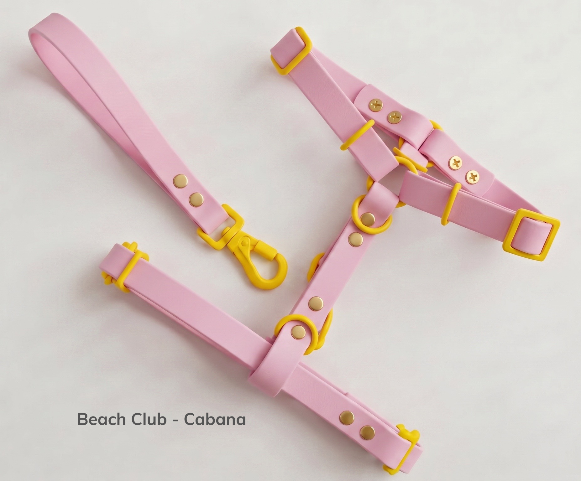 Beach Club - Cabana.png
