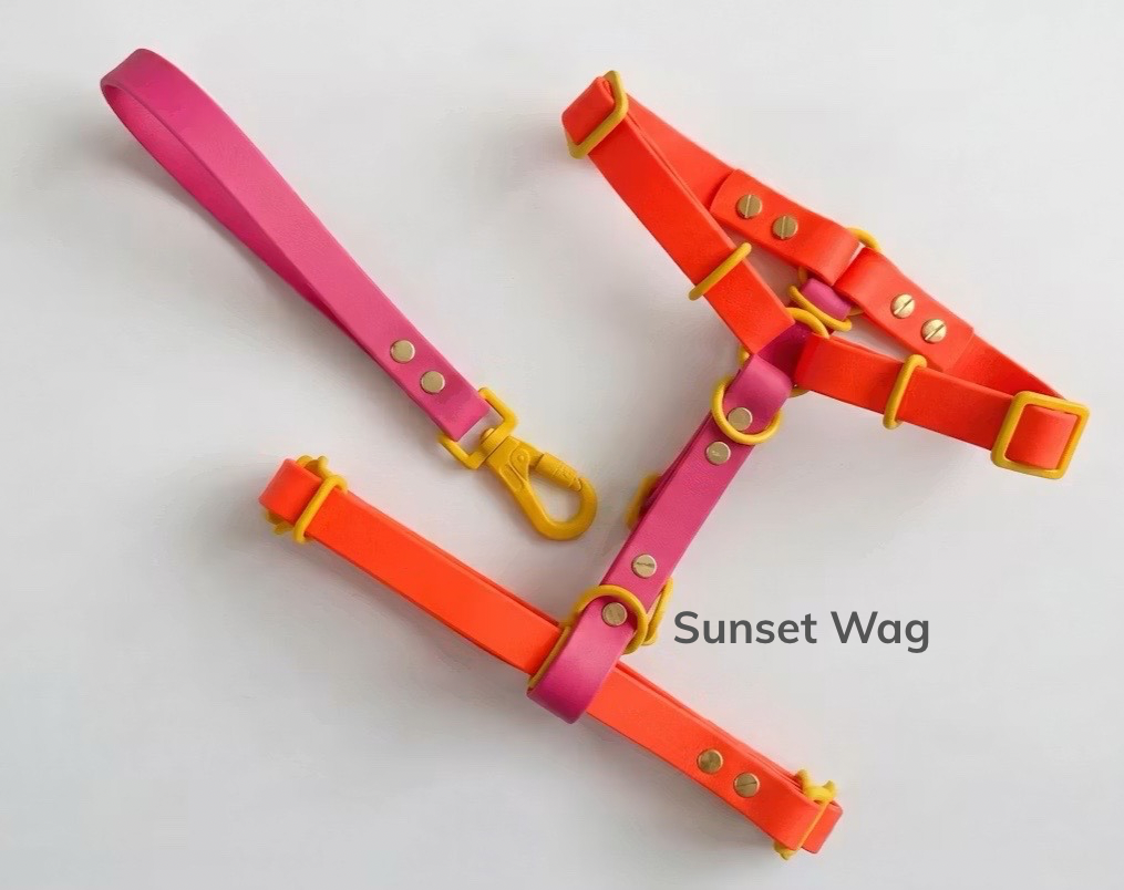 Sunset Wag.png