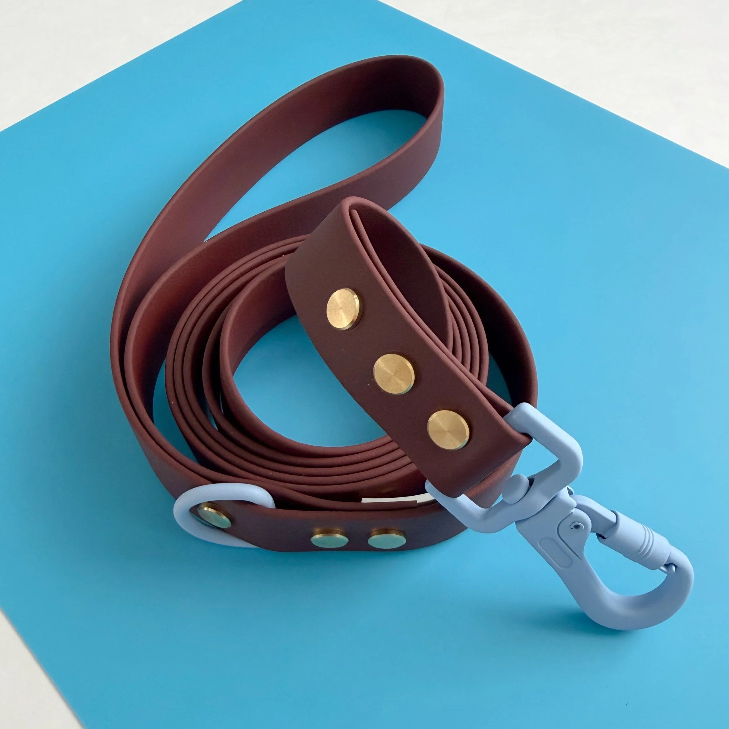 DOG LEASH - SWEET PAWS - UR MY FAV