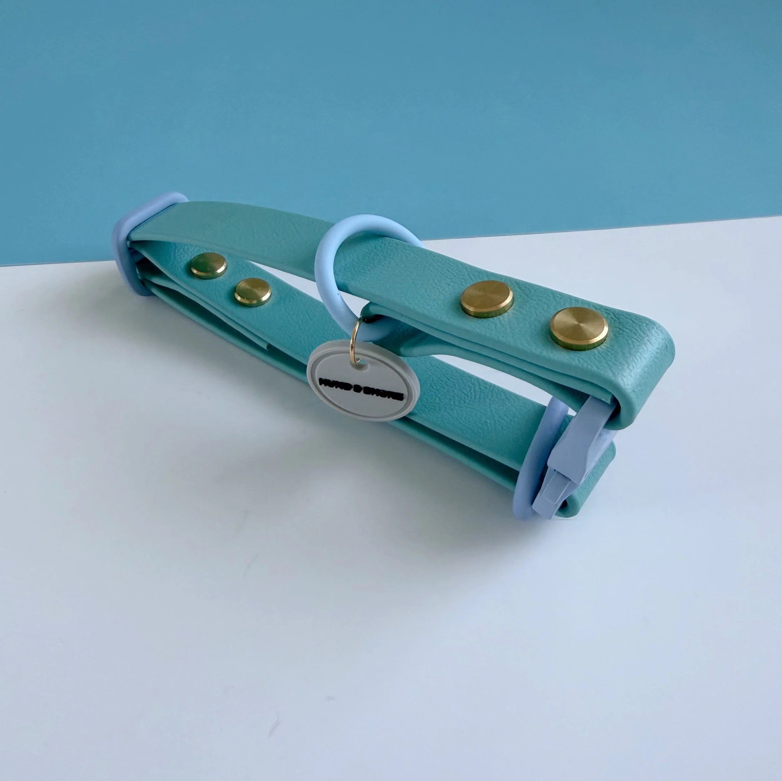 DOG COLLAR - ROVER SPLASH - SALTWATER SNOUT