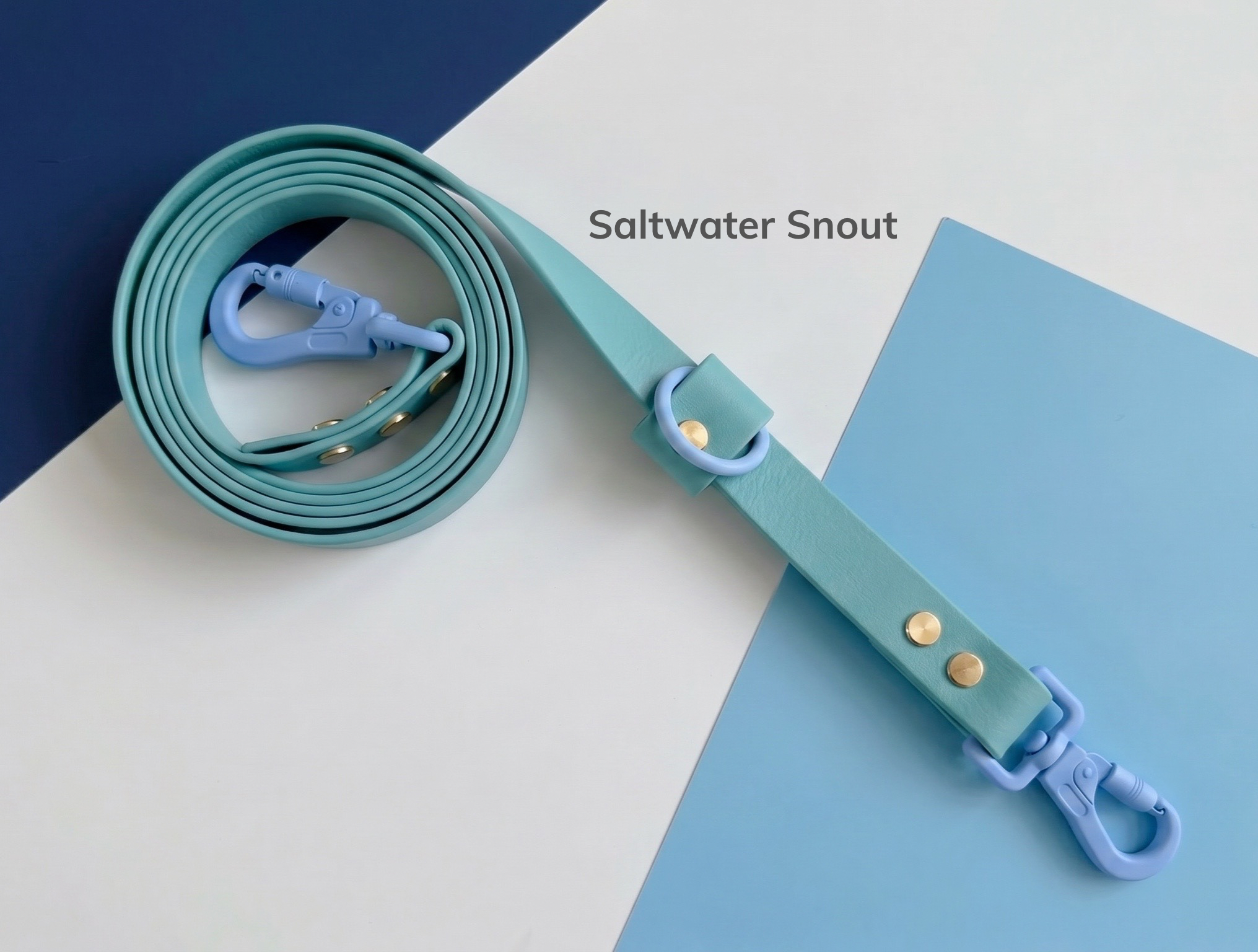 Saltwater Snout.png