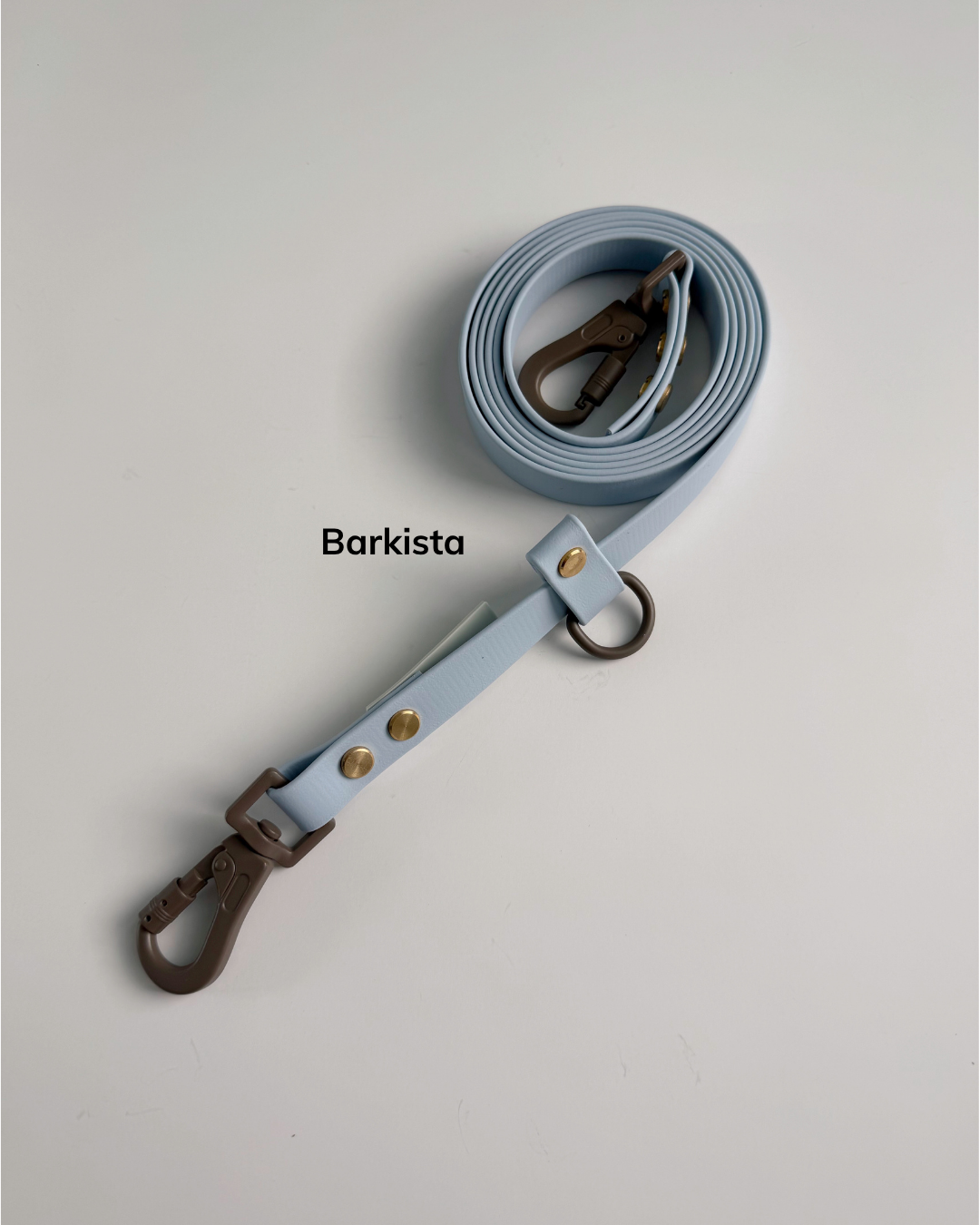 Barkista (2).png