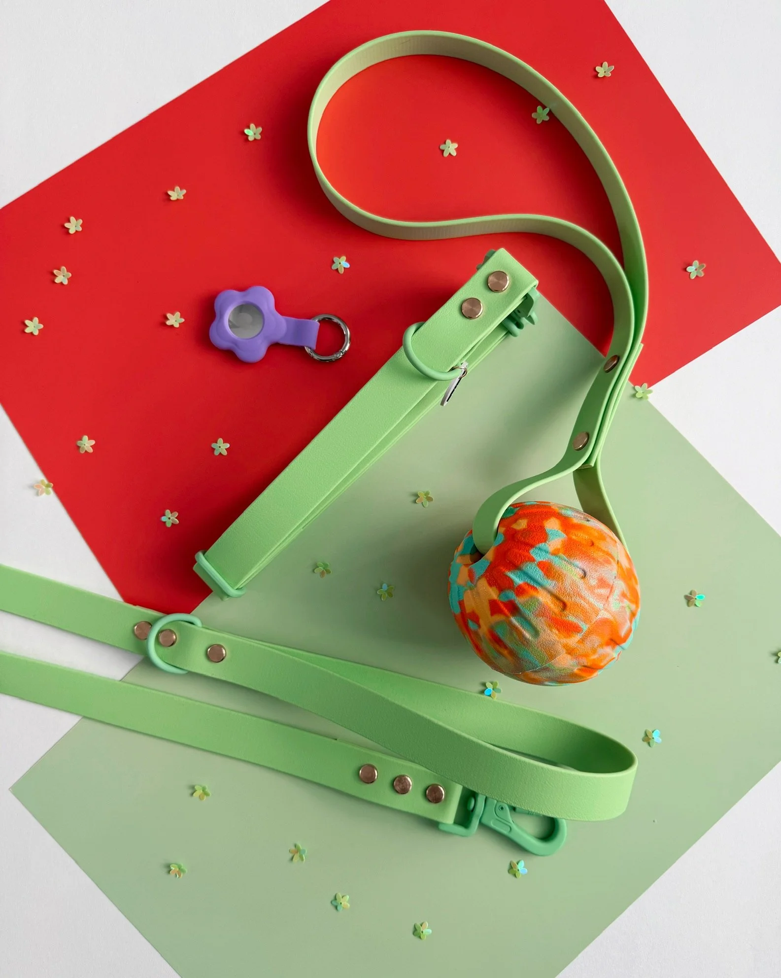 Sweet Pea pastel green biothane dog collar and leash set with matching pastel green hardware from the Flora Collection by Hund and Shore