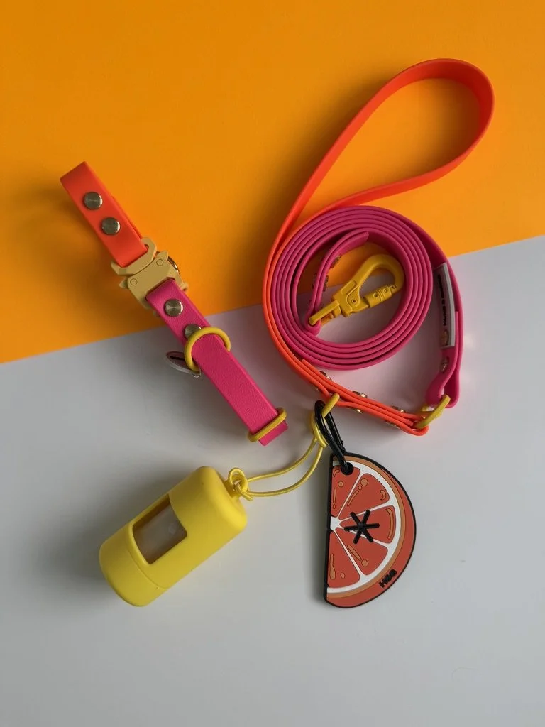 Sunset Wag neon pink and orange two tone waterproof biothane dog collar and leash set with yellow hardware Rover Splash Collection Hund and Shore