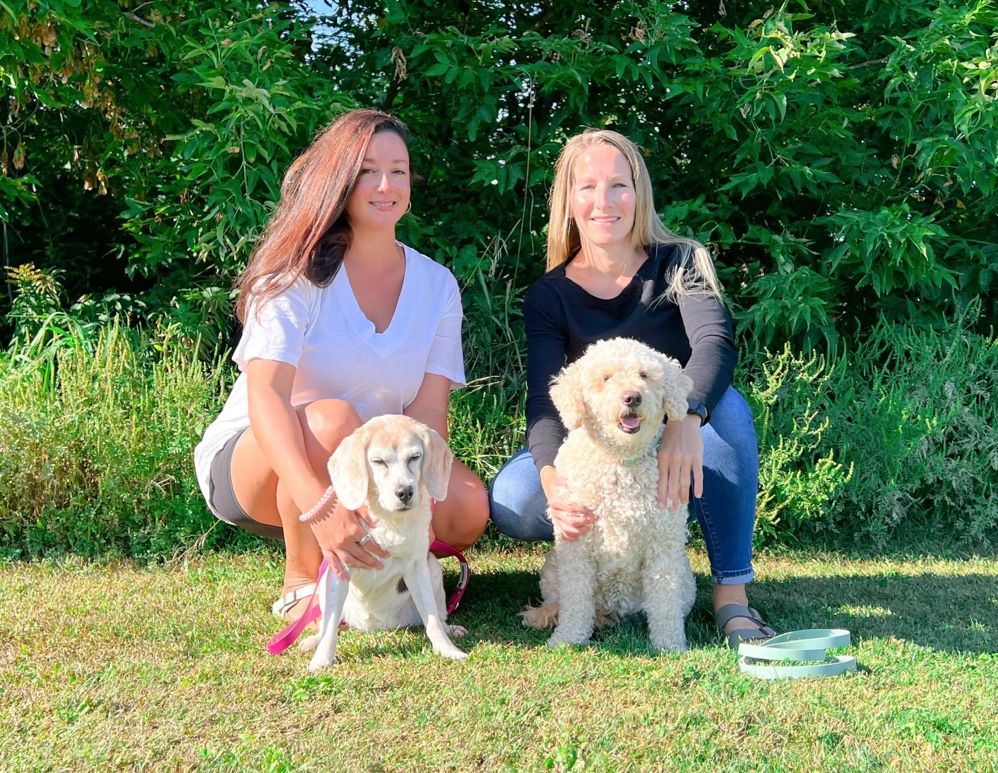 Two women with two dogs sitting on grass outside in front of green shrubbery. One woman in a white t-shirt and dark shorts, the other in a black long-sleeve shirt and jeans. The woman in white is holding a small dog with long floppy ears, and the woman in black is holding a curly-haired dog. The dogs are sitting on leashes, and the woman in black has a leash on the ground near her.