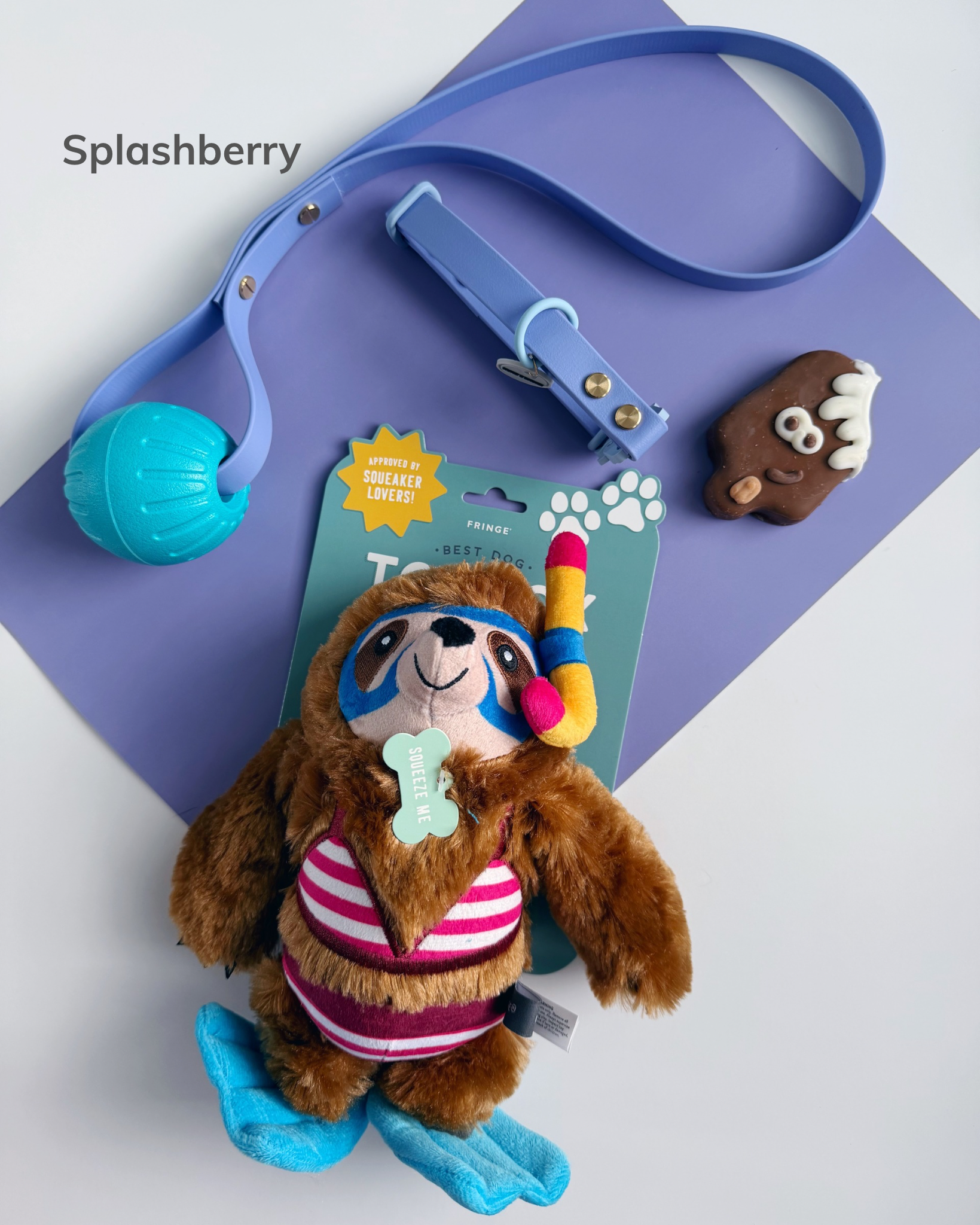 Splashberry.png