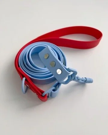 DOG LEASH - ALPINE SKI CLUB - ALPINE PATROL