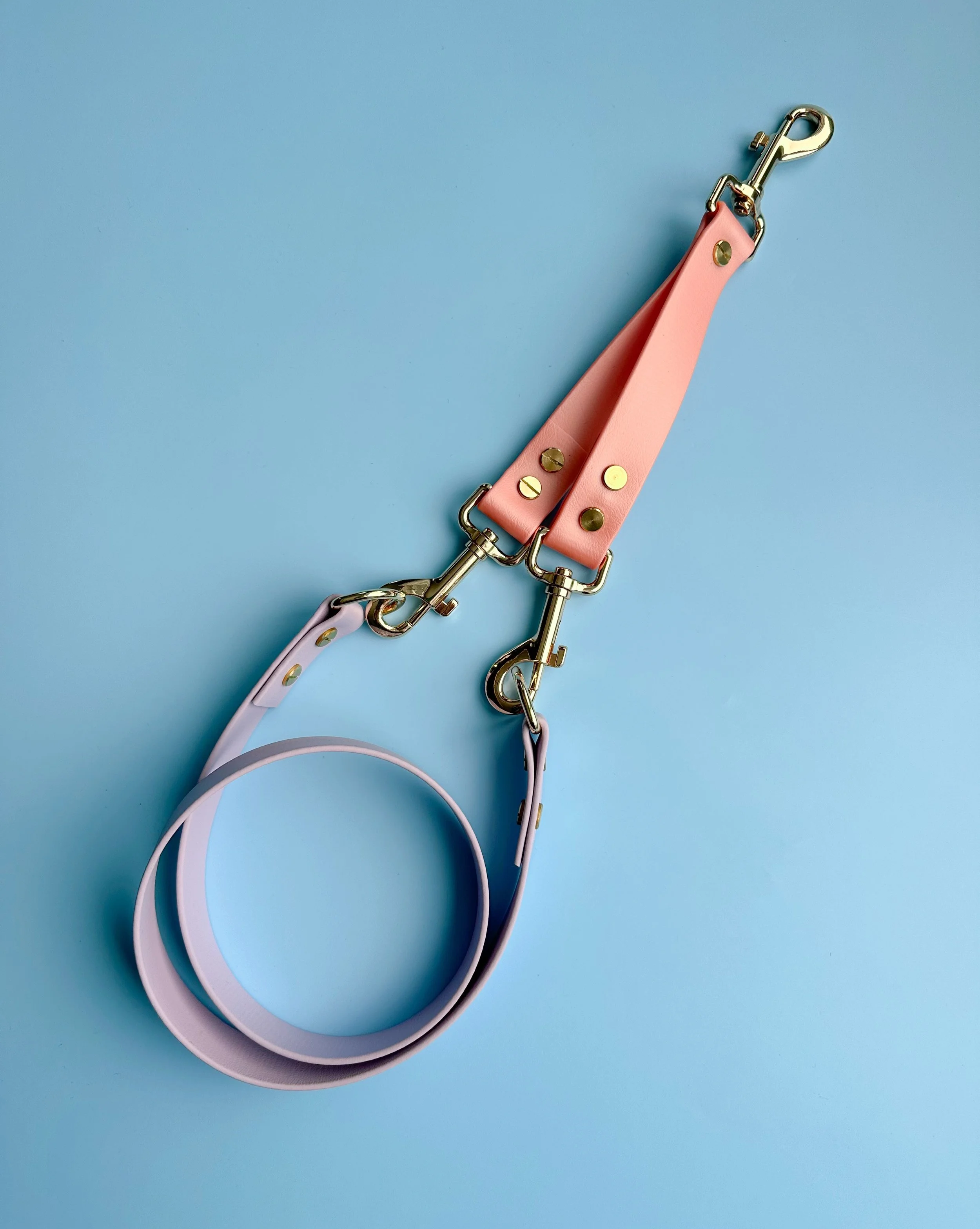 Pink and lavender leash with gold hardware on a blue background.