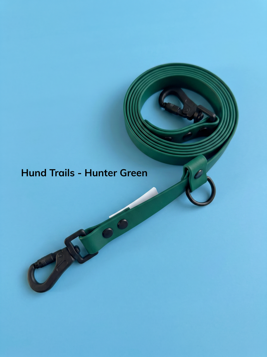 Hund Trails - Huckleberry (7).png
