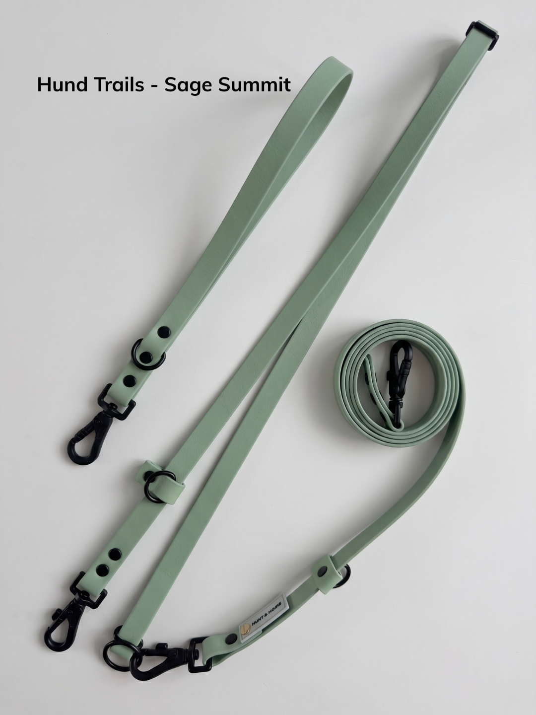 Sage Summit Leash.png