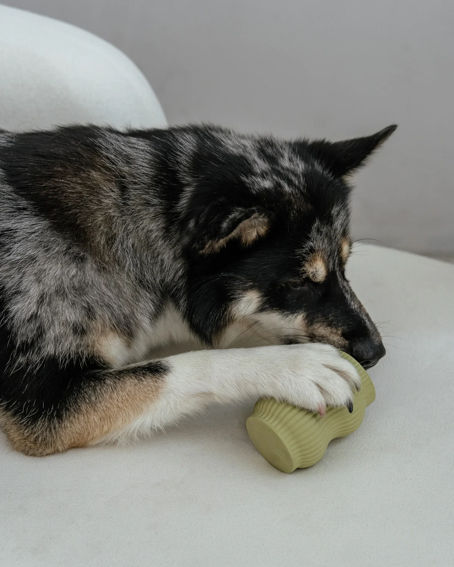 Dog chewing DexPaws jade green natural rubber aggressive teething toy treat dispensing chew toy available at Hund and Shore