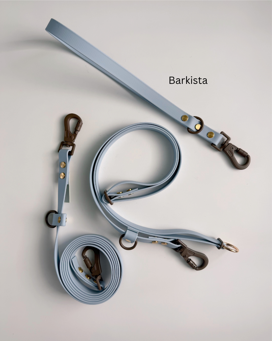 Barkista (1).png