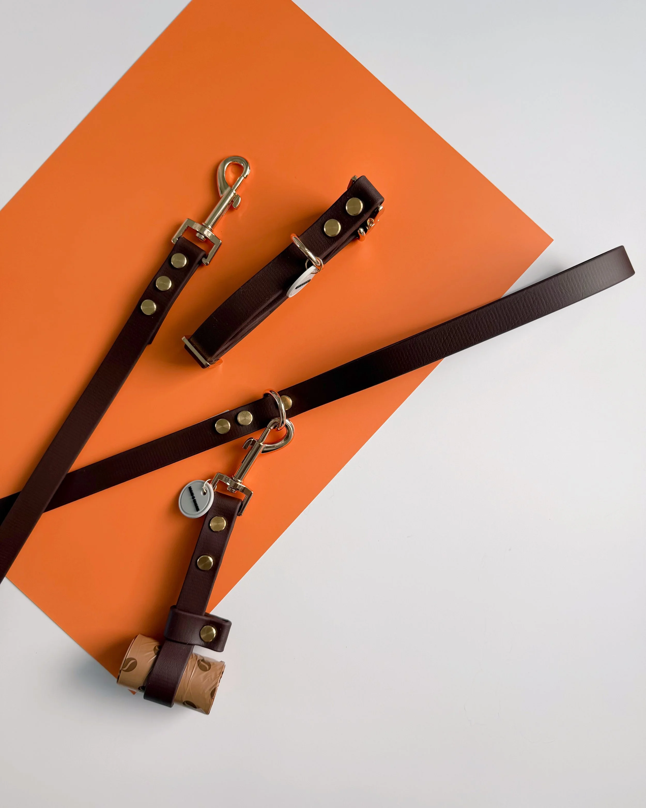Hund Walk Collar & Leash Bundle - Lattes & Tails Collection