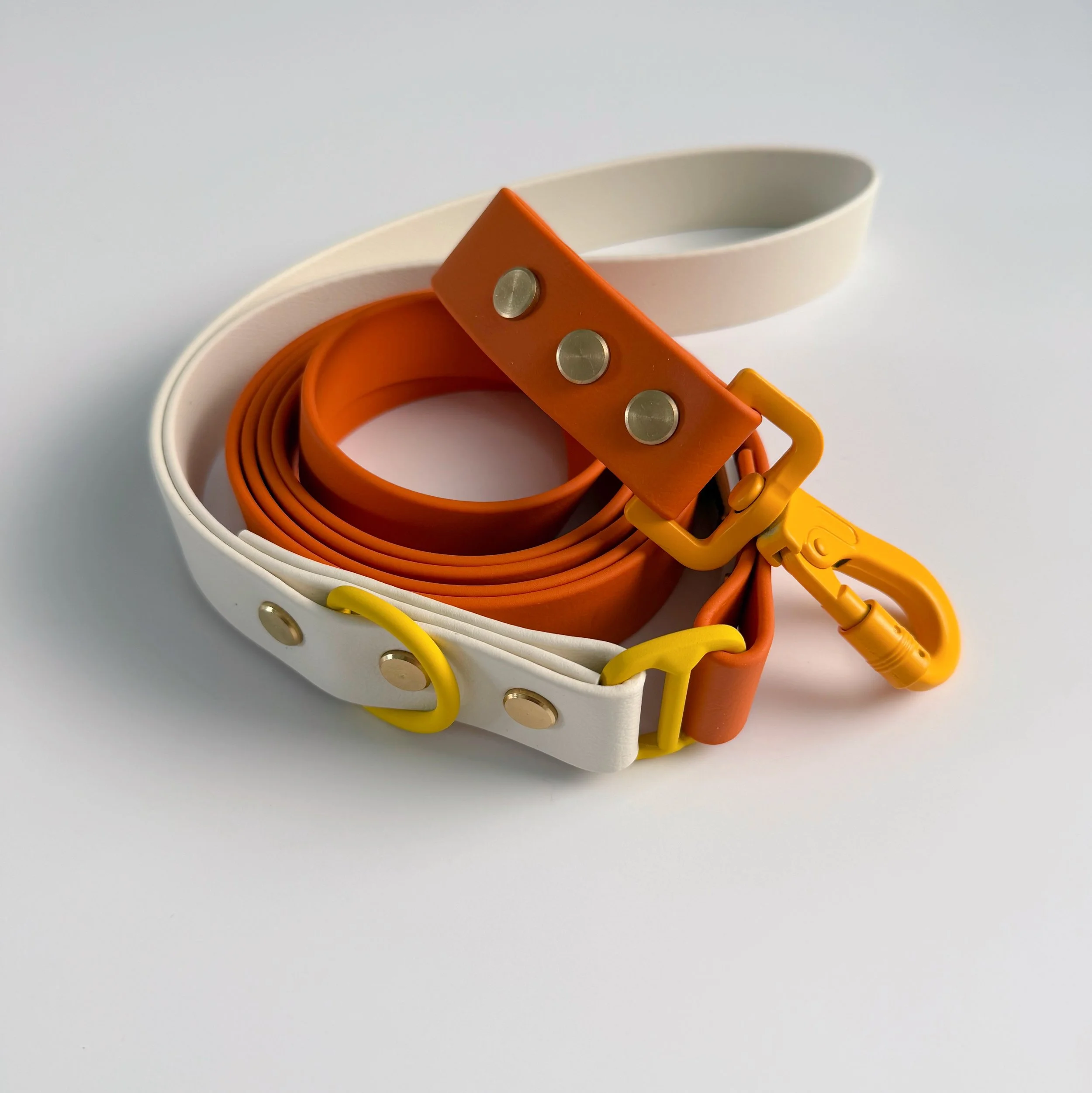 Dog Leash - Spooky Paws - Candy Corn