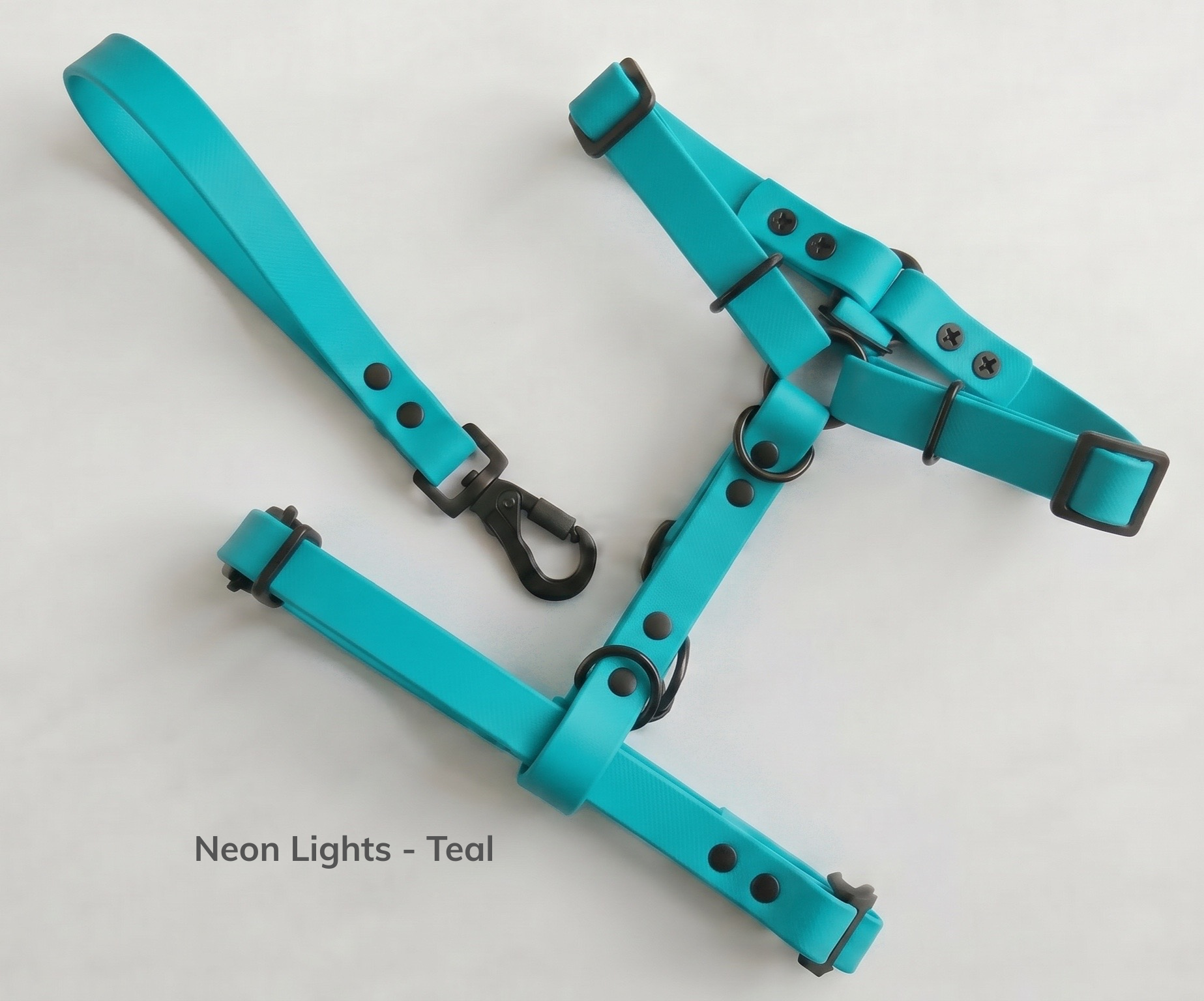 Neon Lights - Teal.png