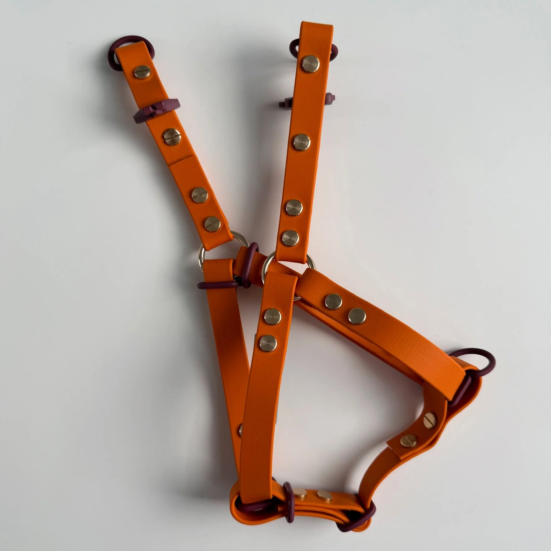 HUND CLASSIC STEP-IN DOG HARNESS - LATTES & TAILS COLLECTION