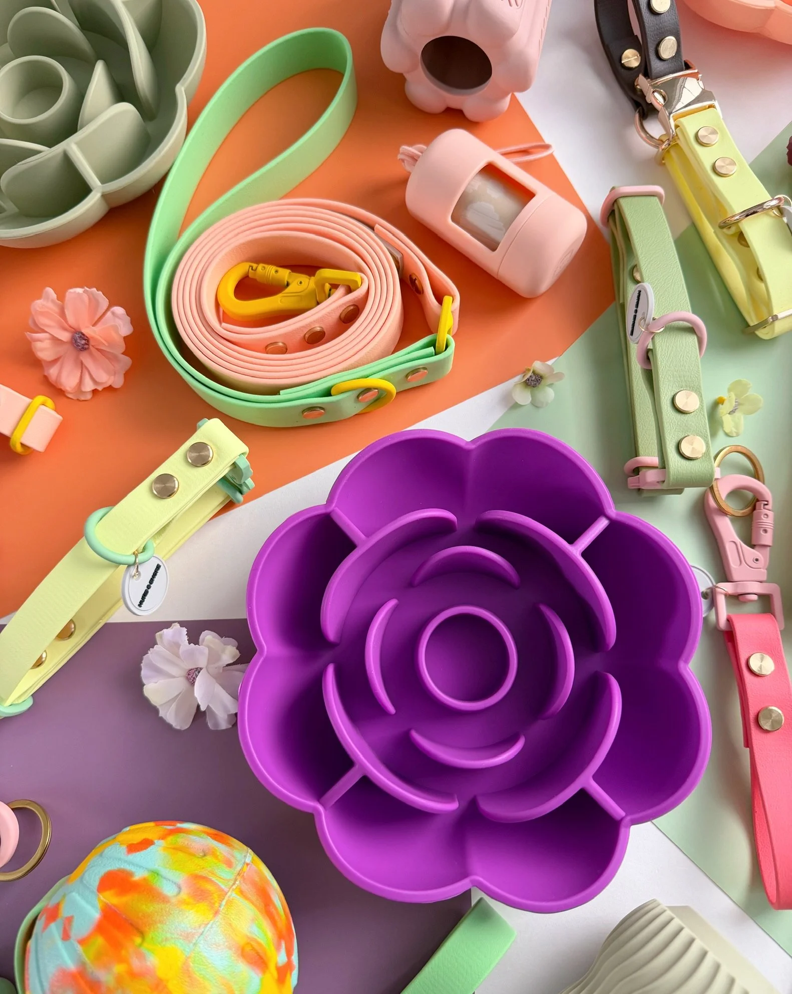 Flora Collection by Hund and Shore featuring Garden Bound Rosy Wag Clover Run Sunflower Fetch Dandelion and Sweet Pea biothane dog collars and leashes Spring 2026