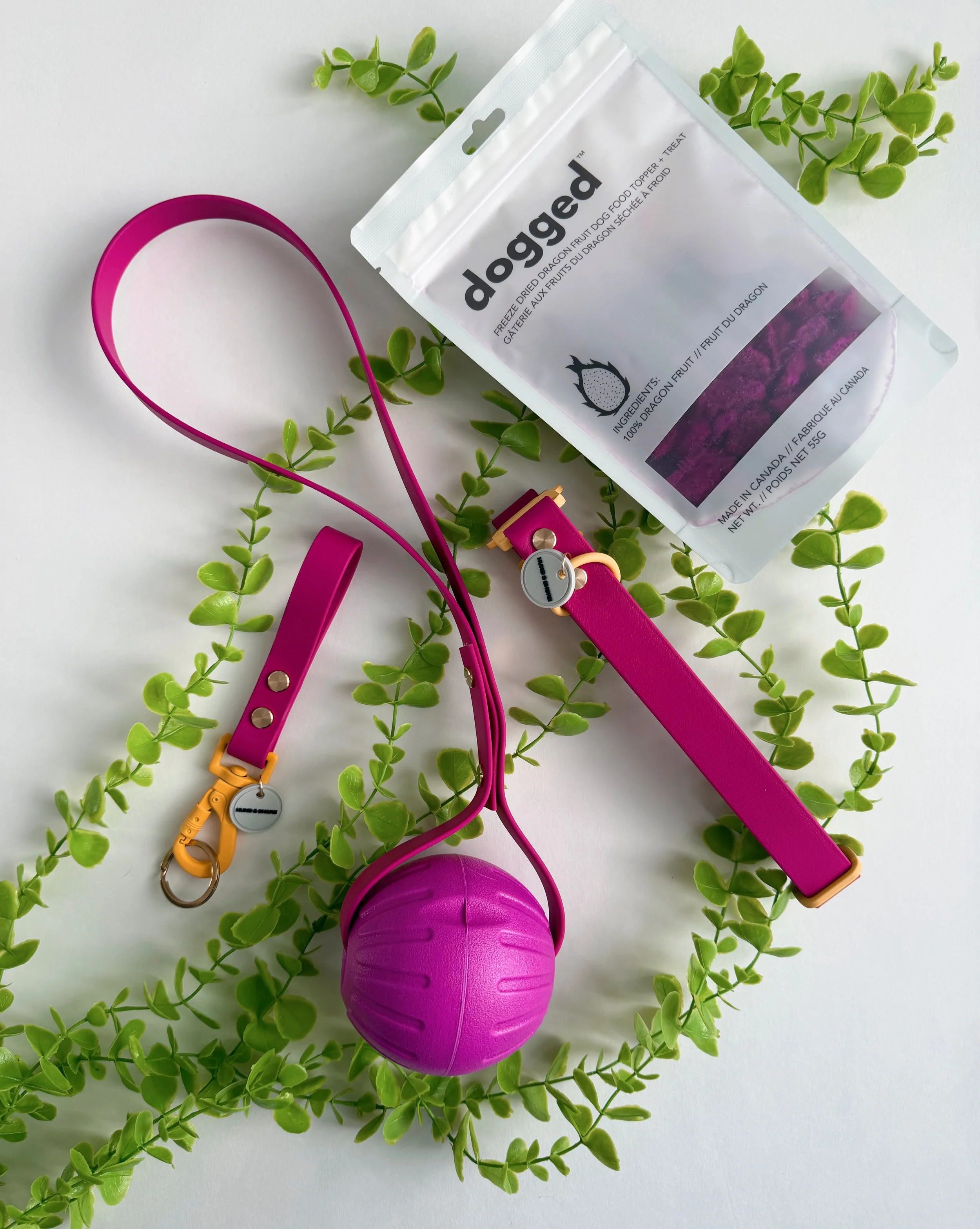 Jump into Spring bundle pack with Foxberry magenta biothane dog collar Shore Clip keychain Dogged freeze dried treats and ball loop toy from Hund and Shore