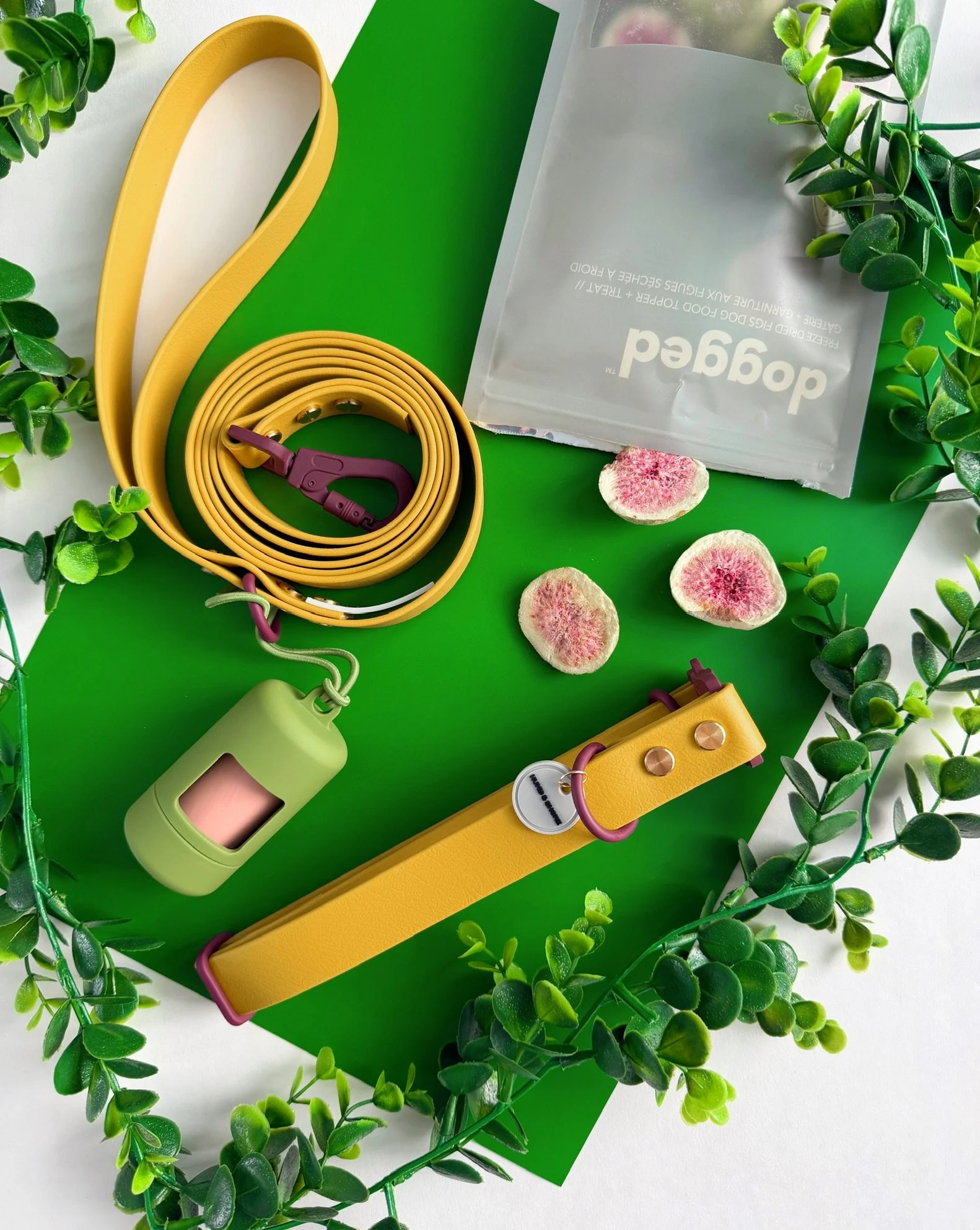 Sunspot mustard biothane dog collar with matching leash set with matte maroon hardware