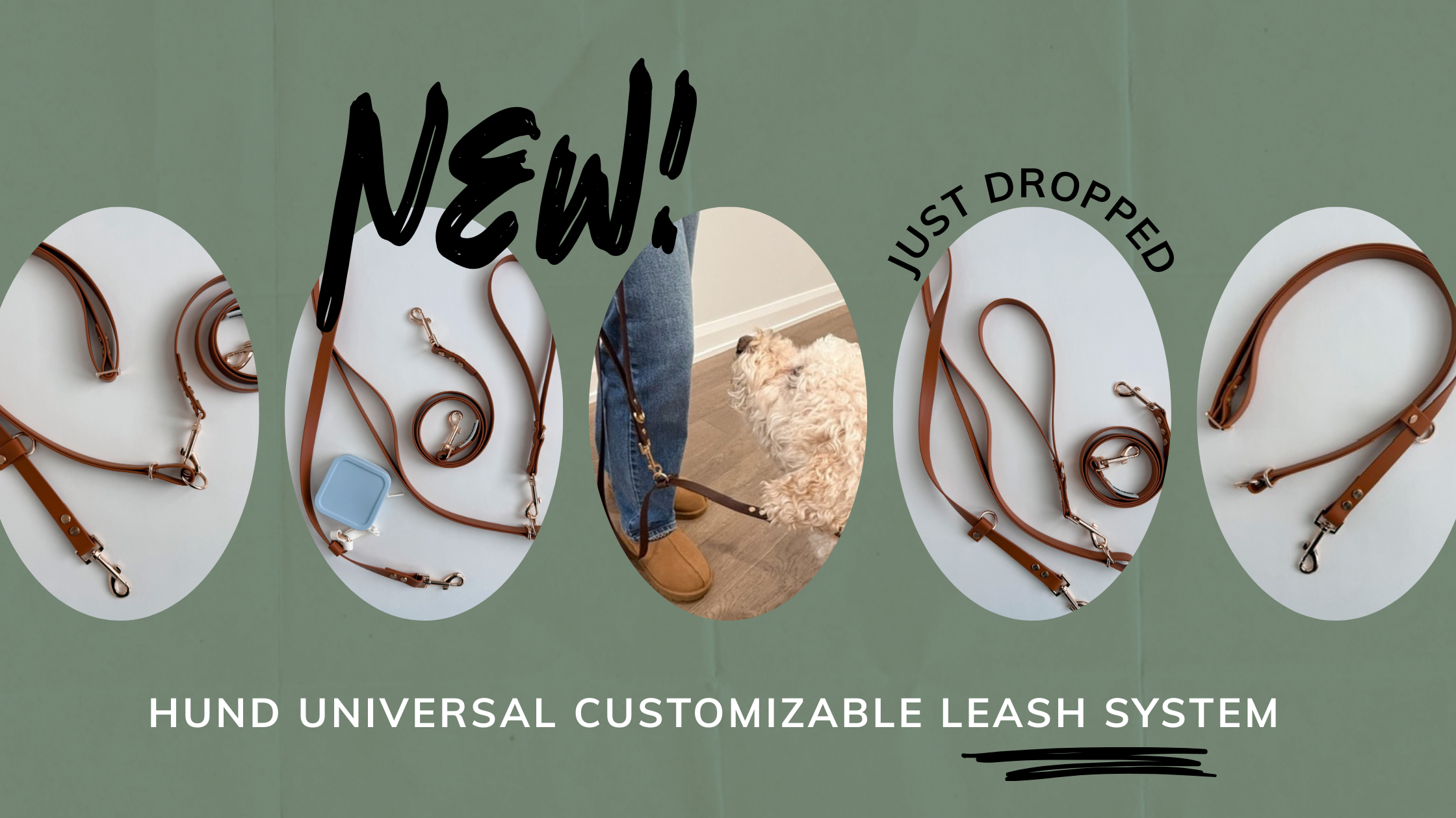 Modular Dog Leash System Customizable