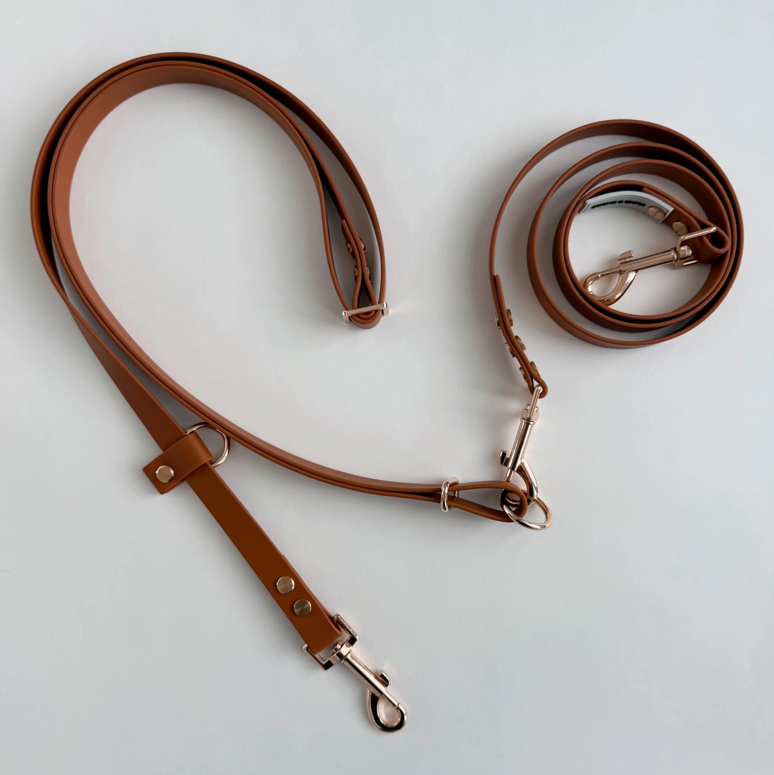 modular leash add-on