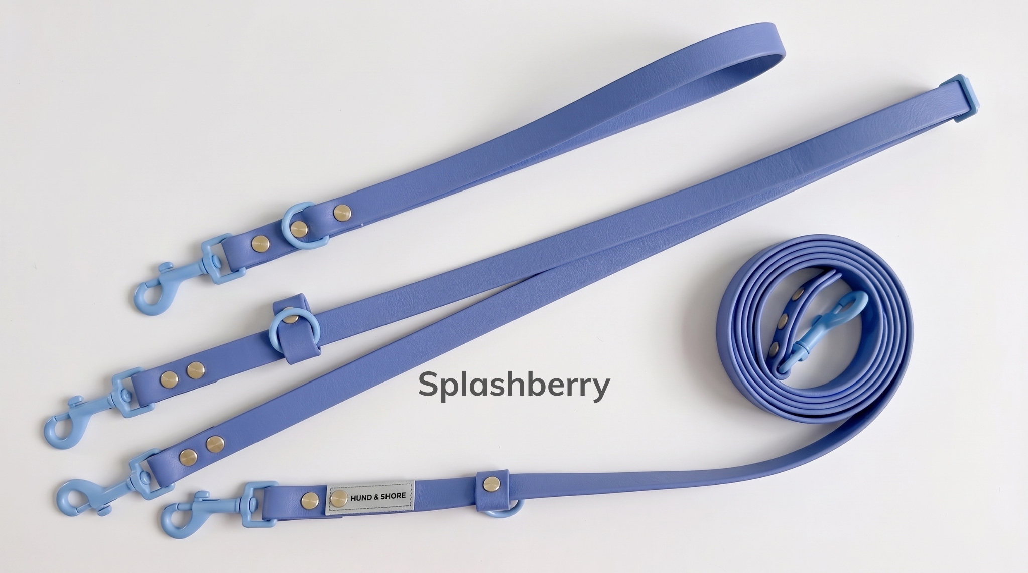 Splashberry.png
