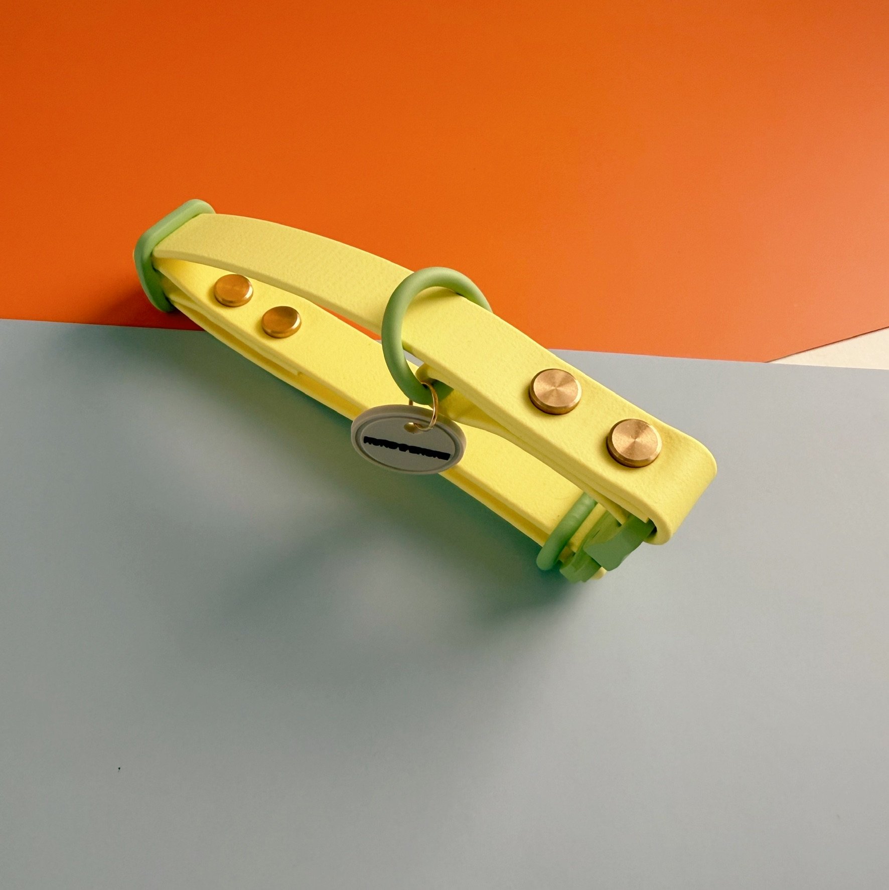 Buttercup soft yellow biothane dog collar with light green hardware from the Flora Collection by Hund and Shore