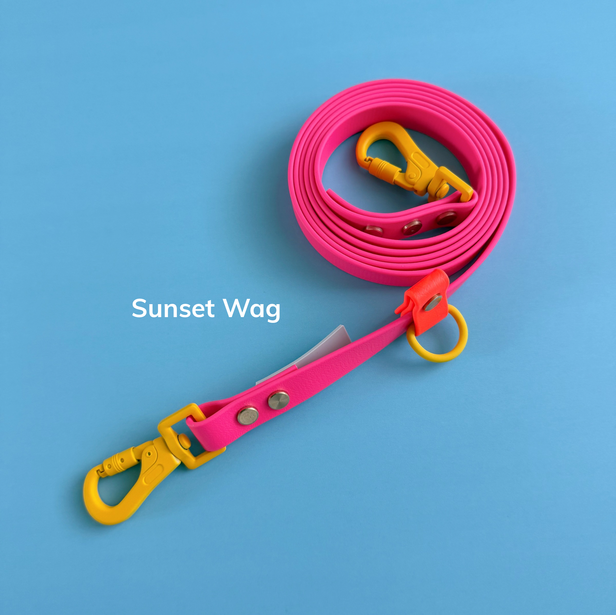Sunset Wag.png