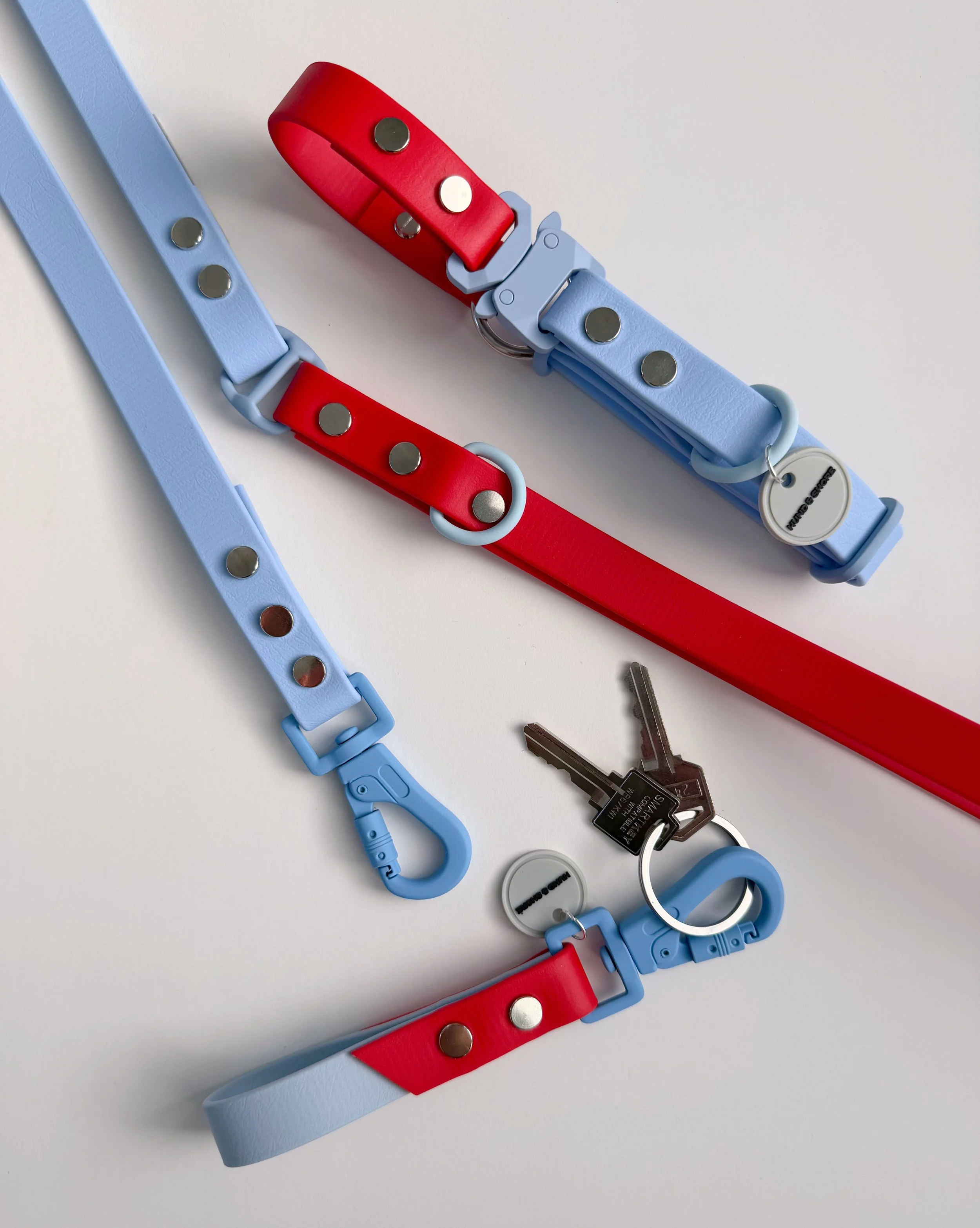 Alpine Patrol dog collar and leash set