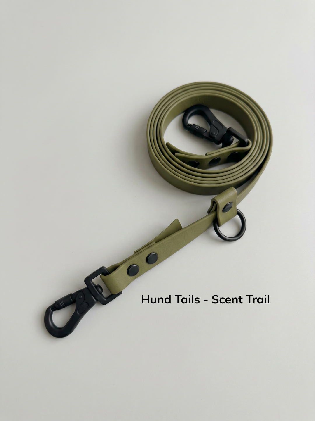 Hund Trails - Huckleberry (10).png