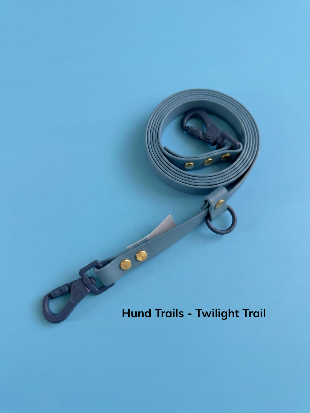 Hund Trails - Huckleberry (4).png
