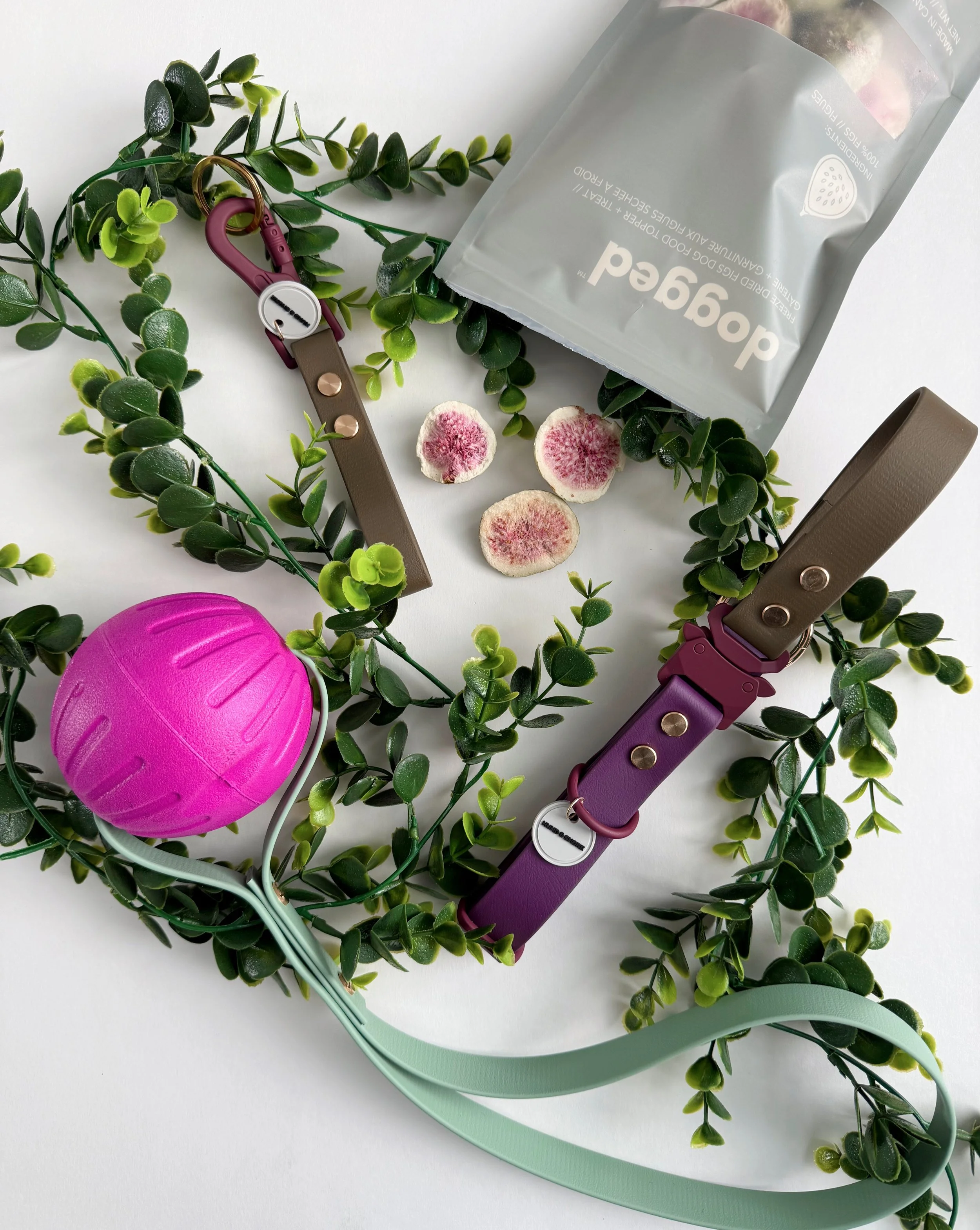 Jump into Spring bundle pack with Fig Hound taupe and plum biothane dog collar Shore Clip keychain Dogged freeze dried treats and ball loop toy from Hund and Shore