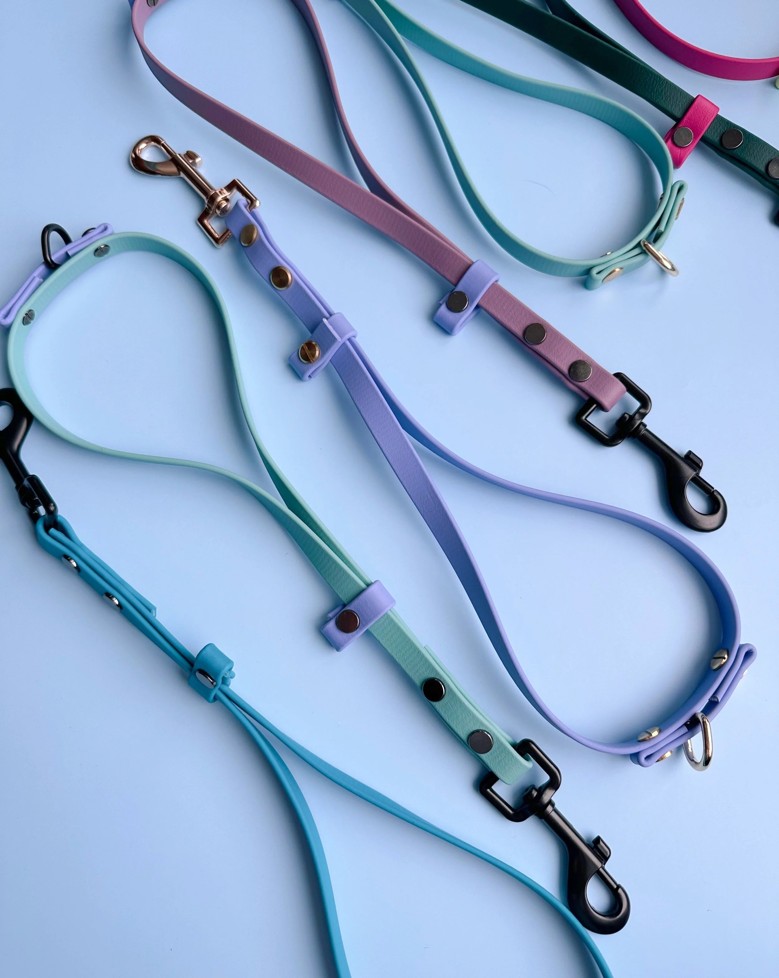 Colorful pet collars and leashes arranged on a light blue surface.