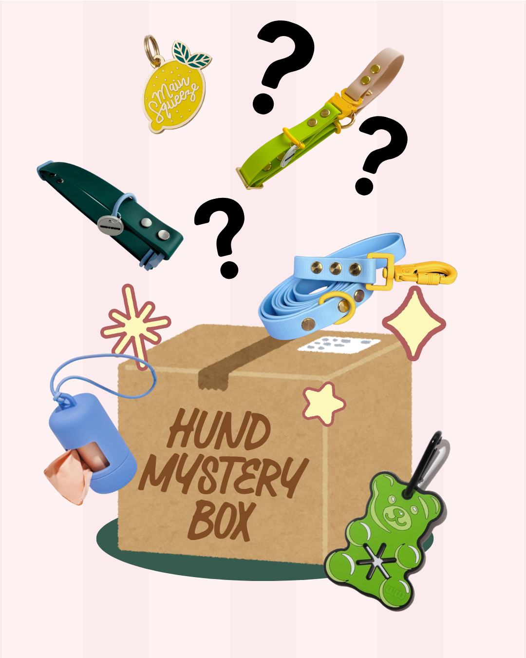 Hund Mystery Box 26.png