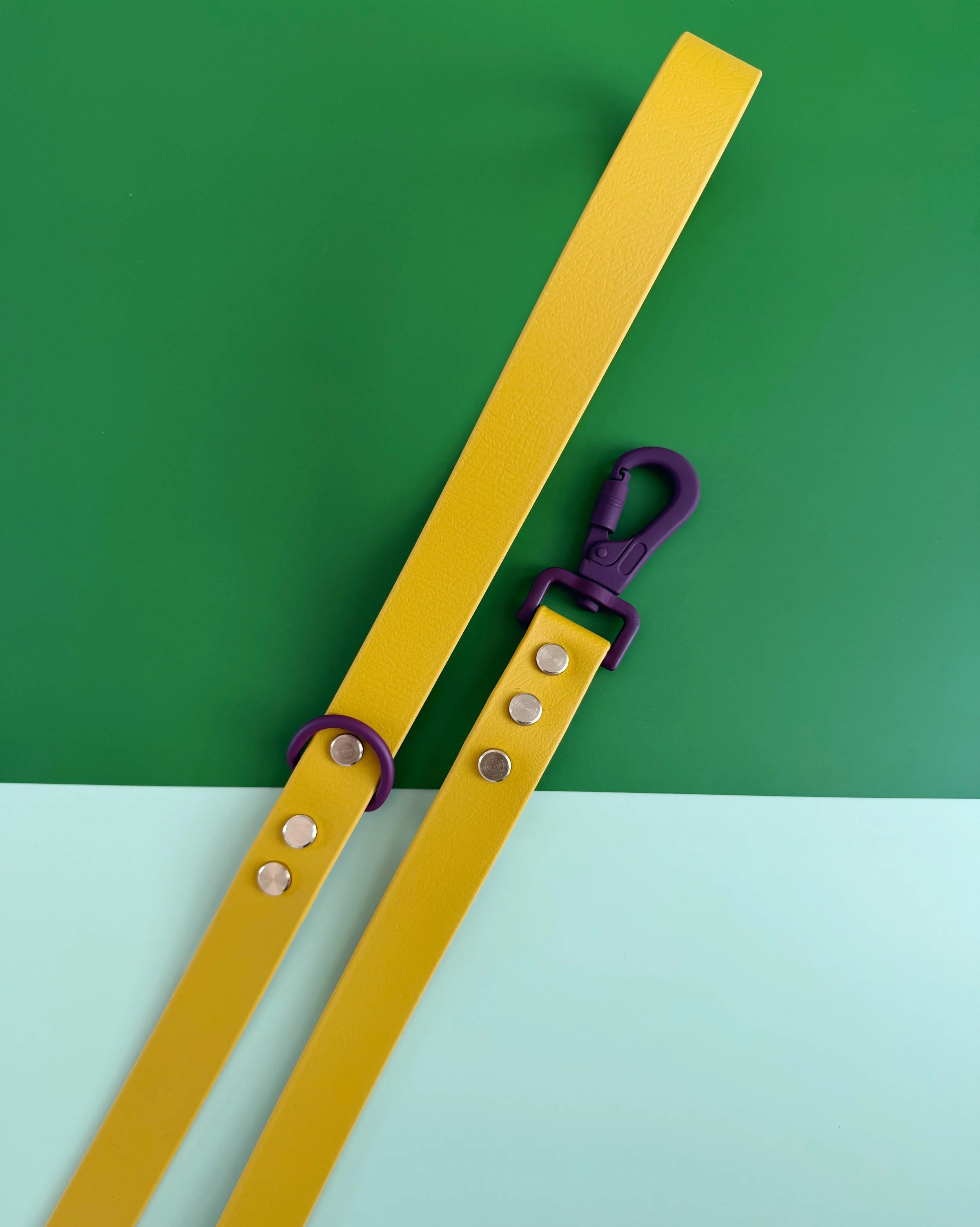 Jewel-toned dog leash in yellow